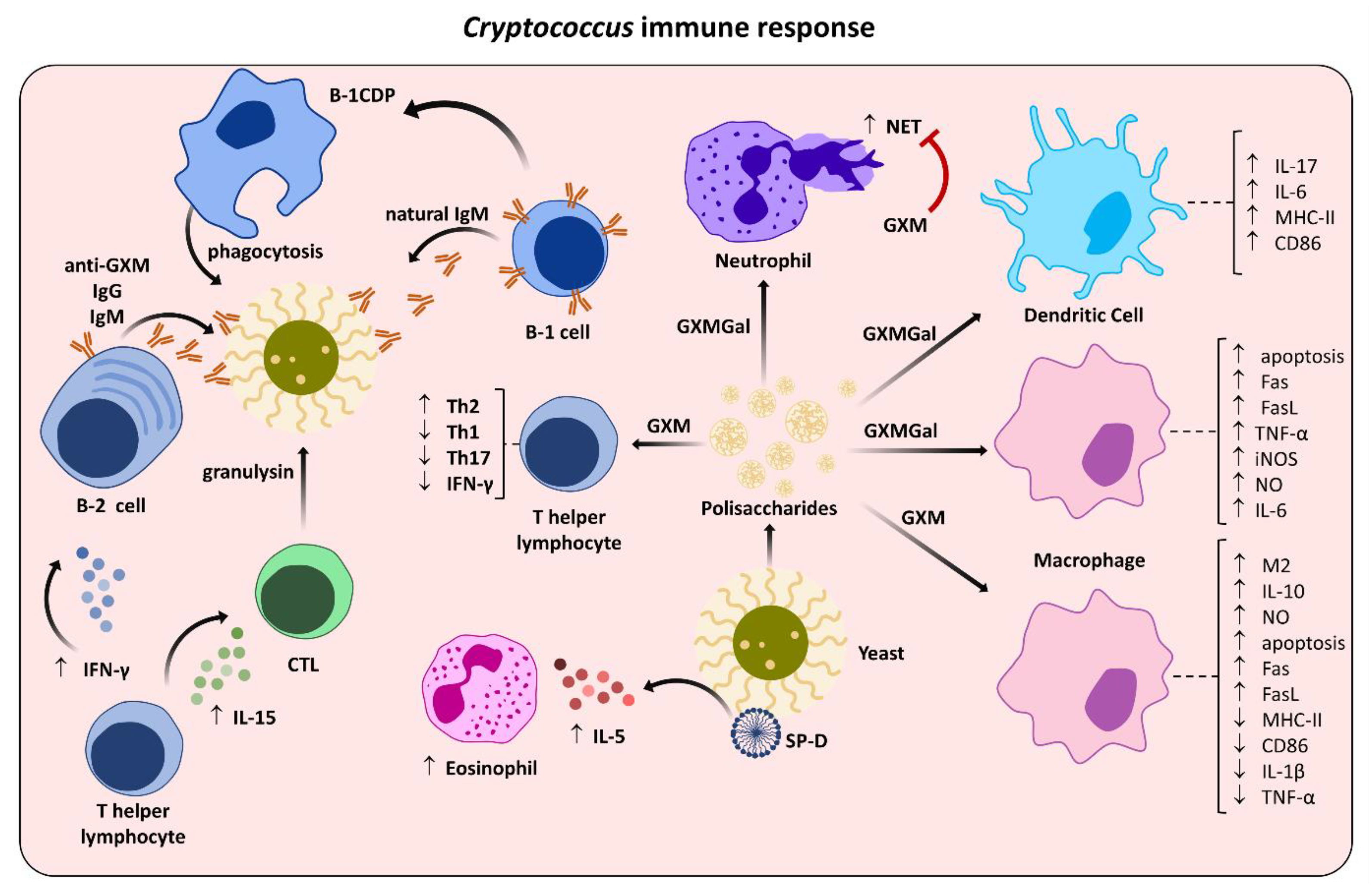 Applsci 12 07086 g003