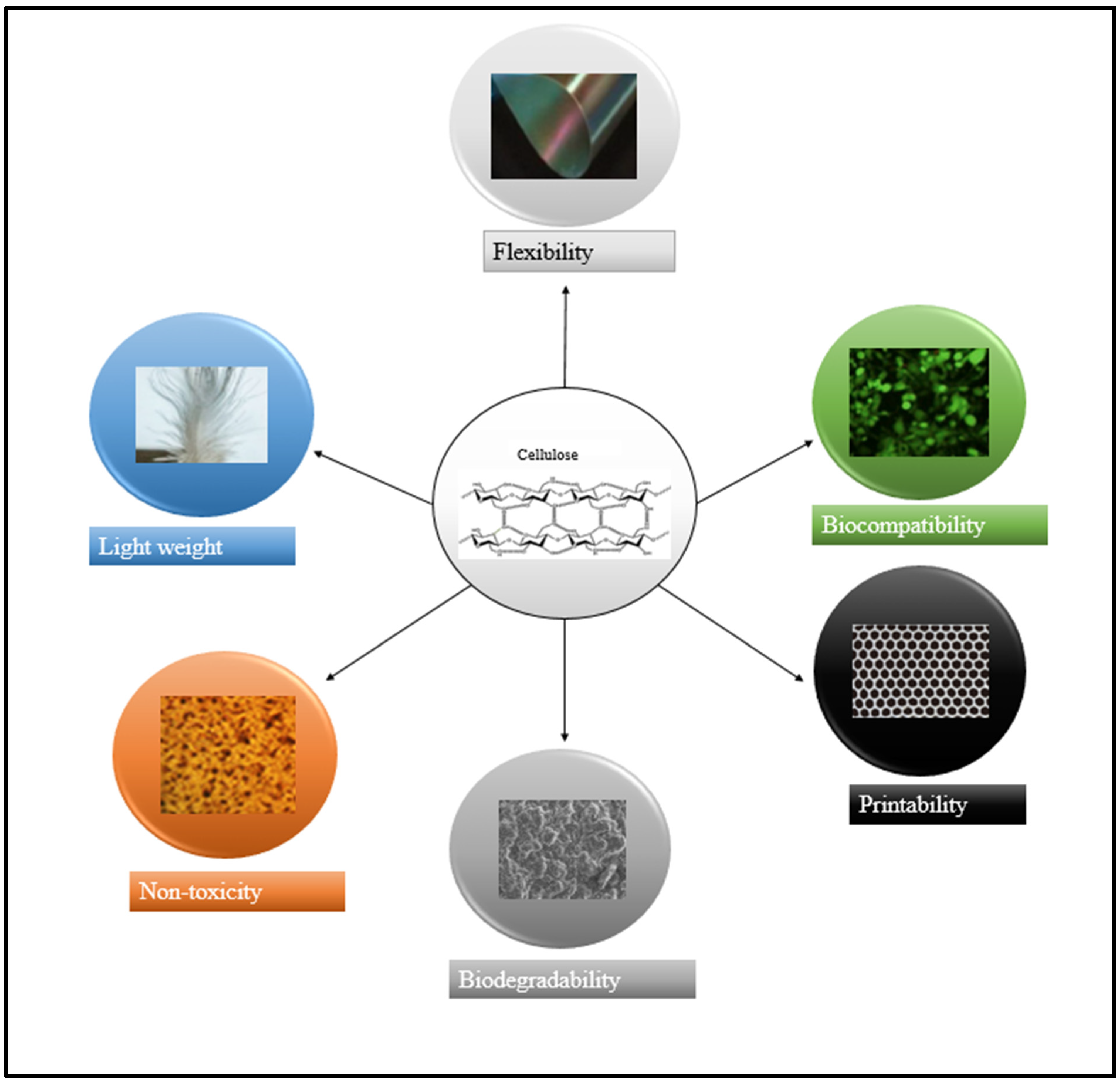 Applsci 12 07090 g002 550