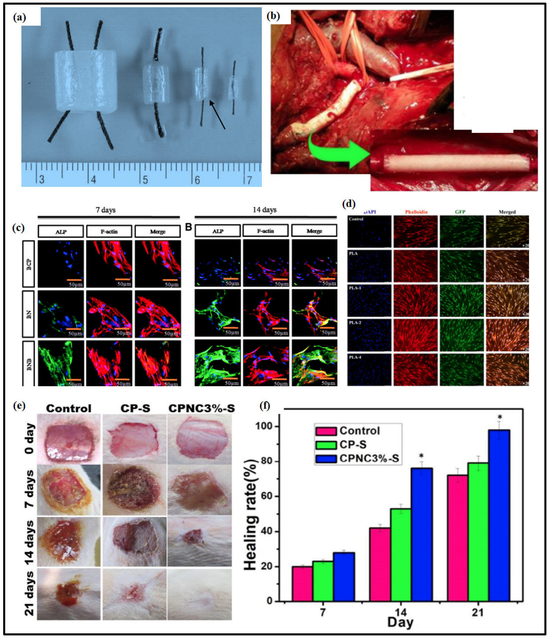 Applsci 12 07090 g004 550
