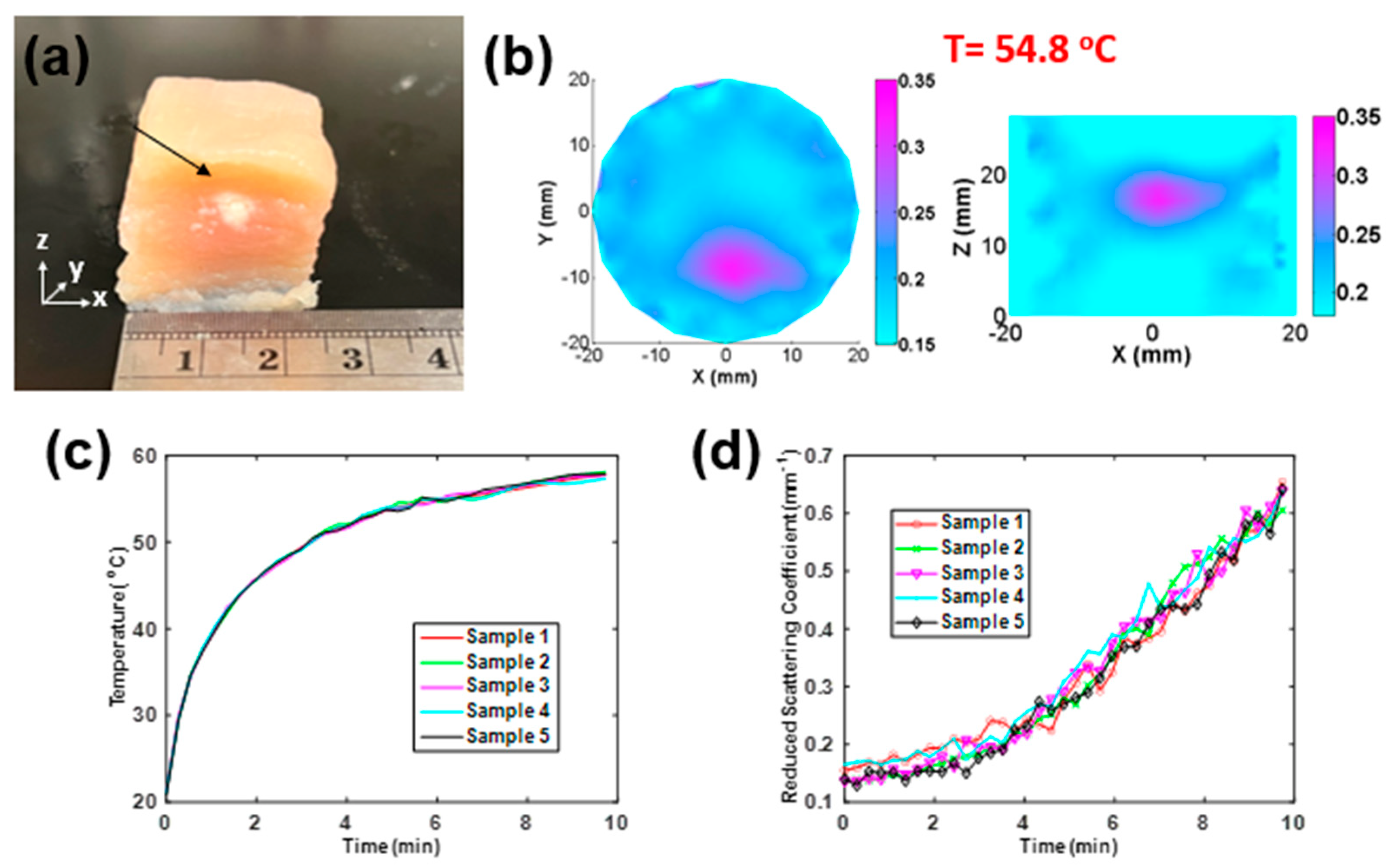 Applsci 12 07093 g004 Applsci 12 07093 g004