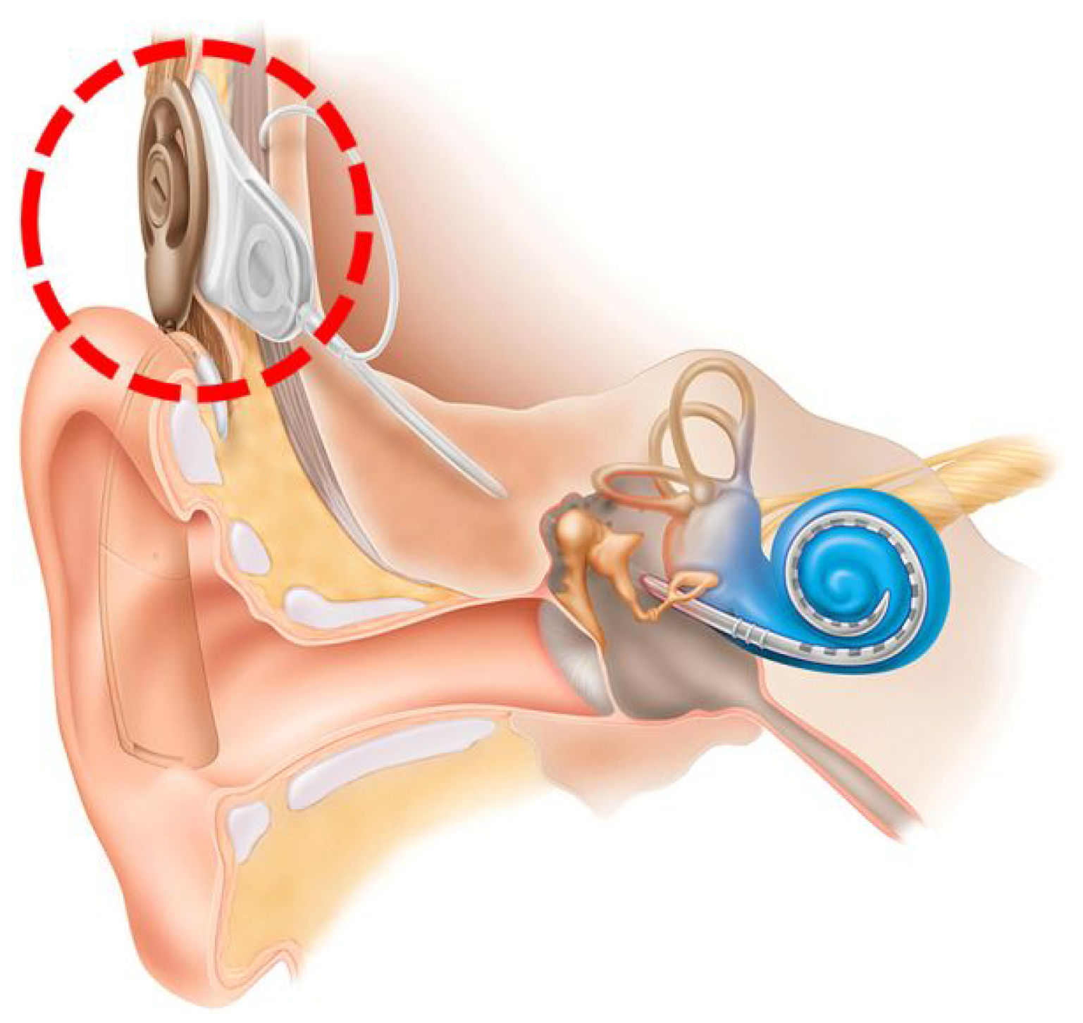 Applsci 12 07096 g005