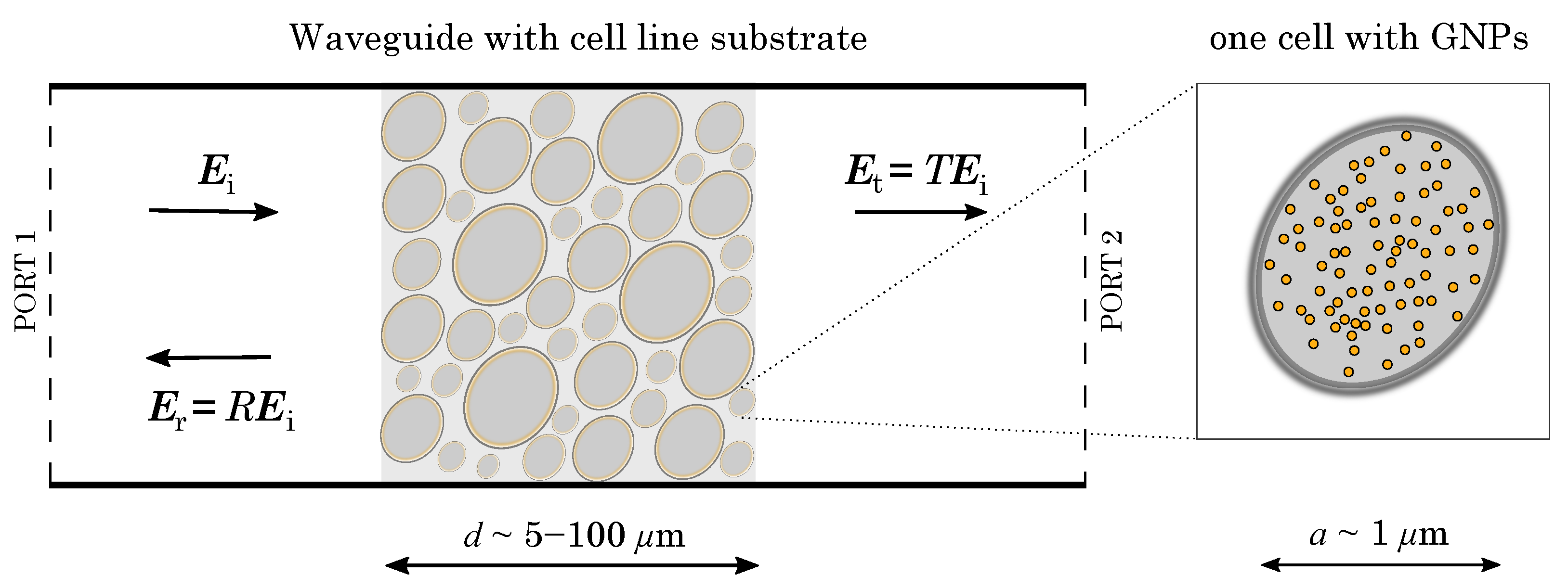 Applsci 12 07097 g001