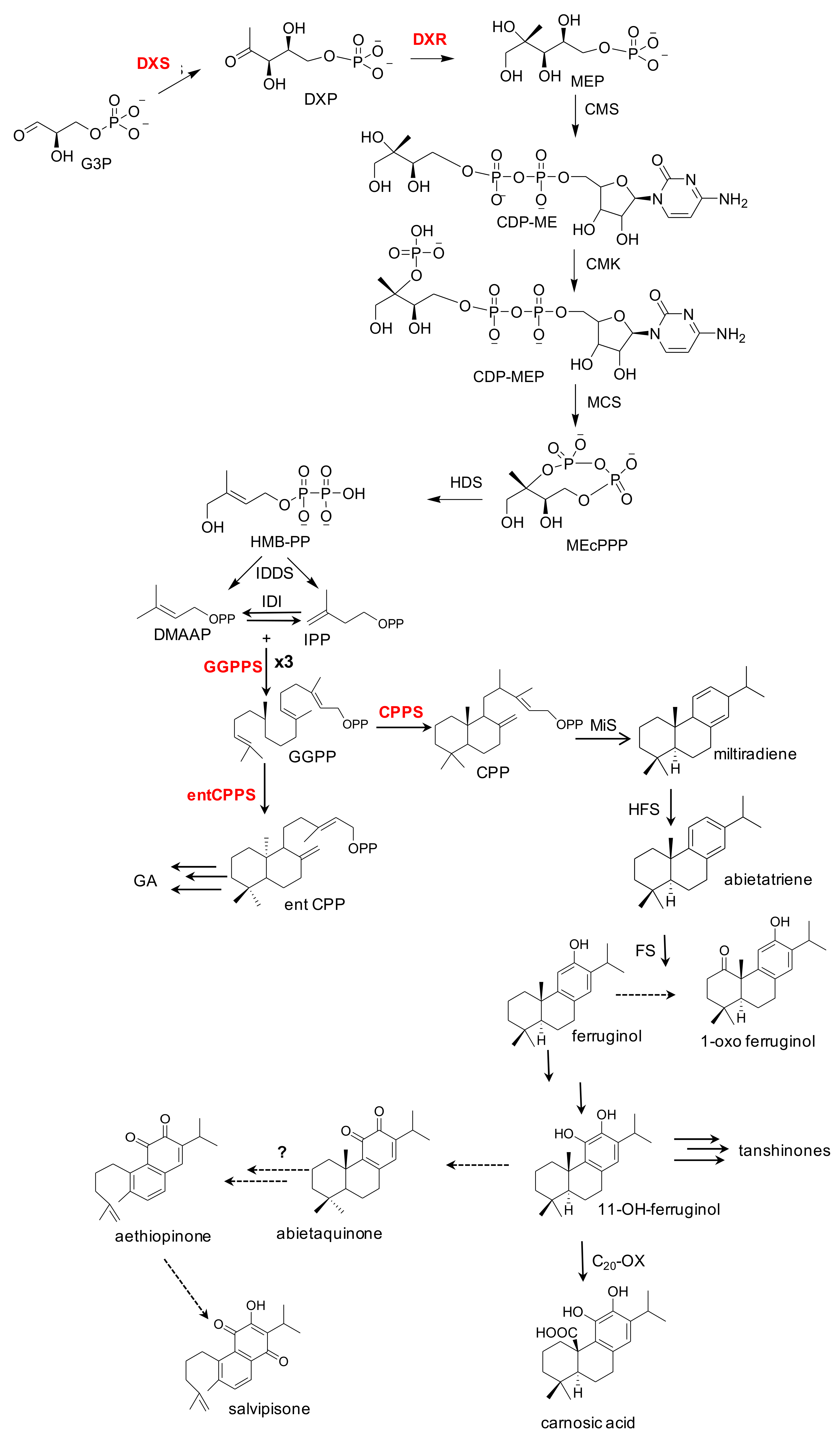 Applsci 12 07116 g001
