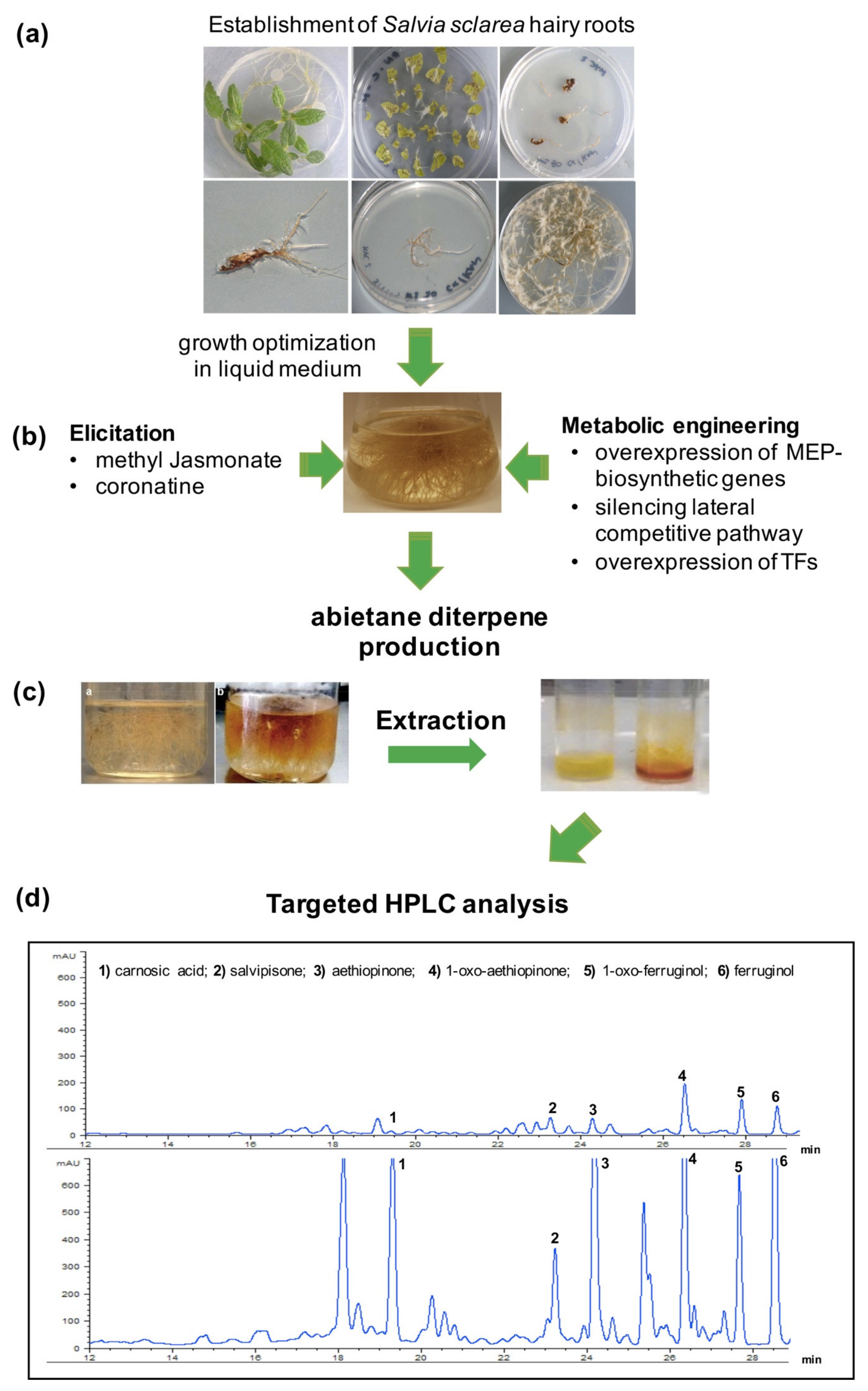 Applsci 12 07116 g003