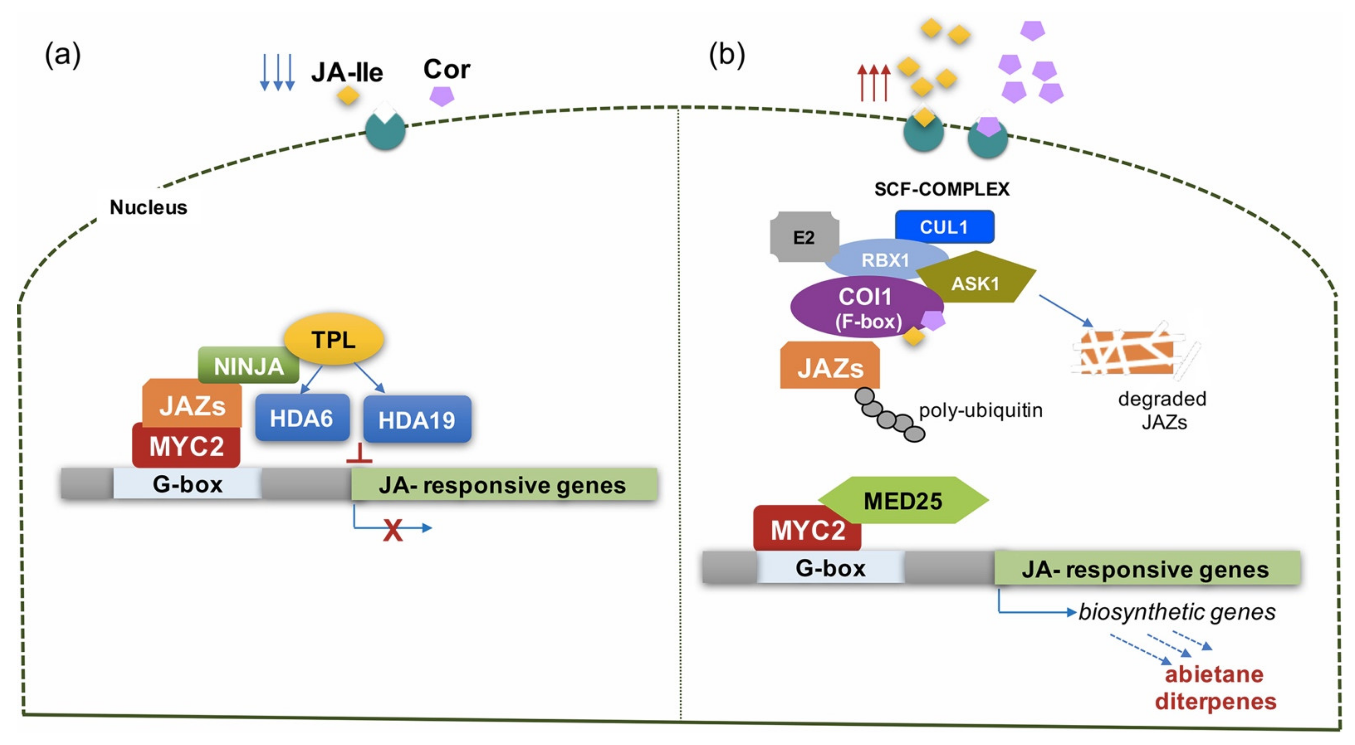 Applsci 12 07116 g004