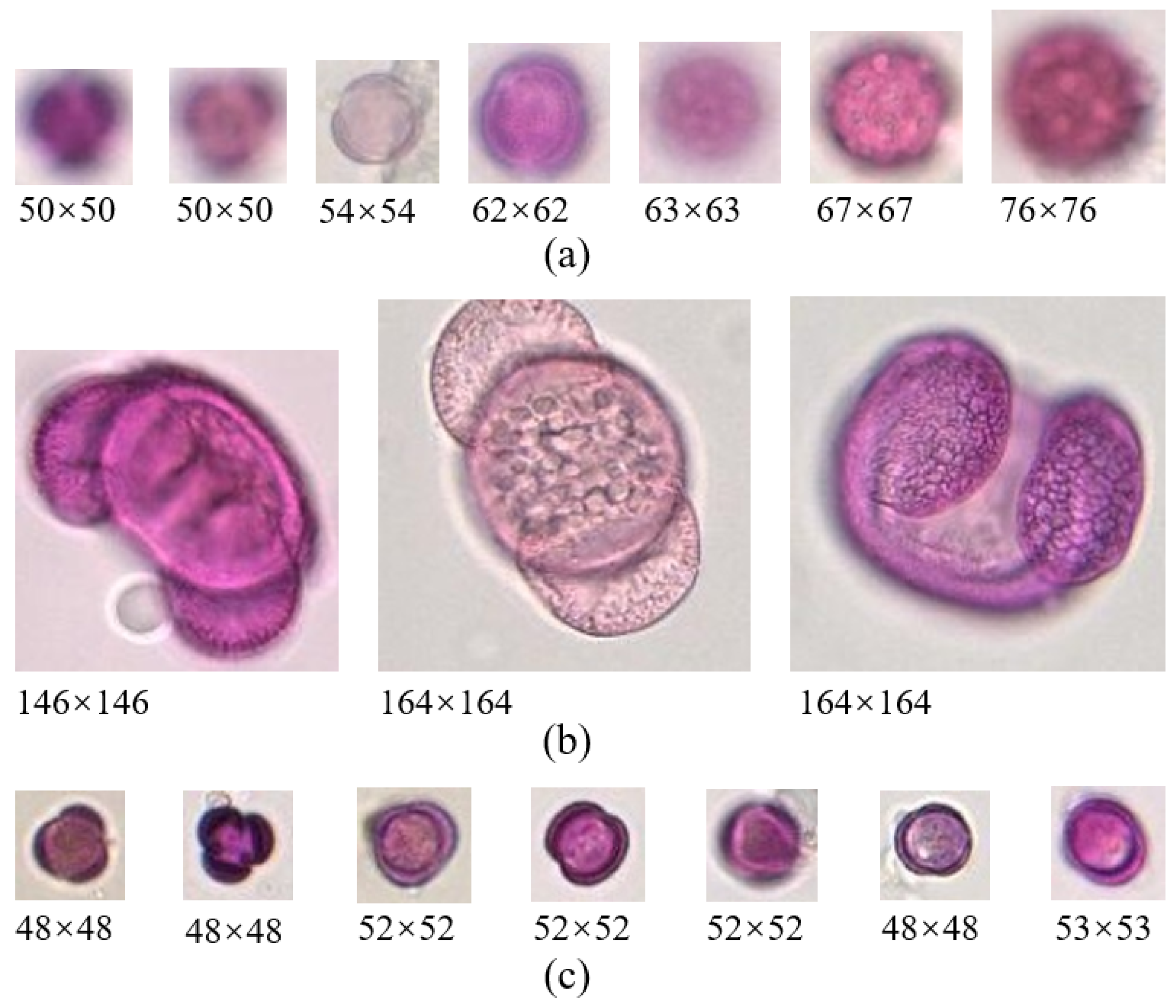 Applsci 12 07126 g004 550