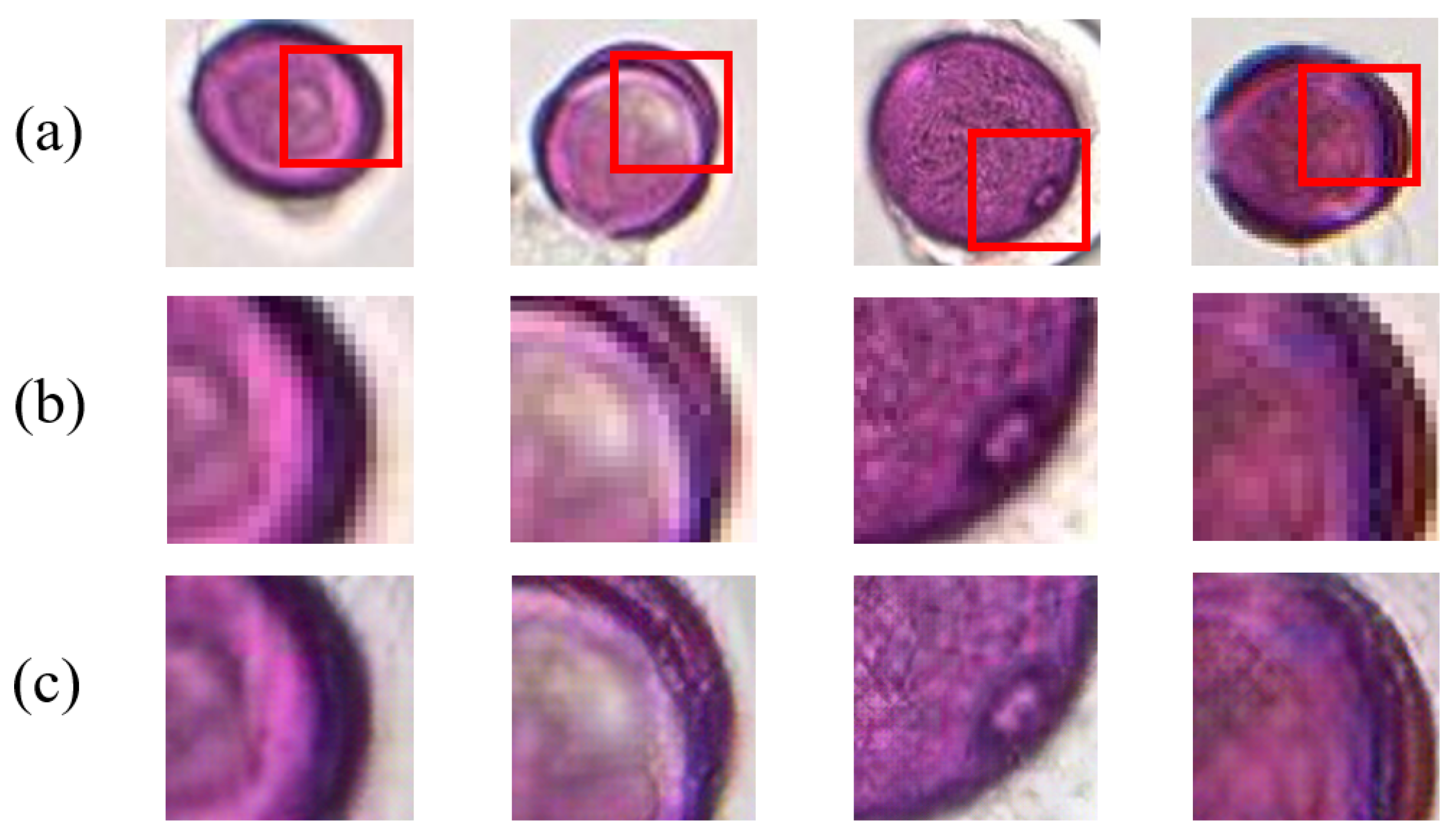 Applsci 12 07126 g006 550