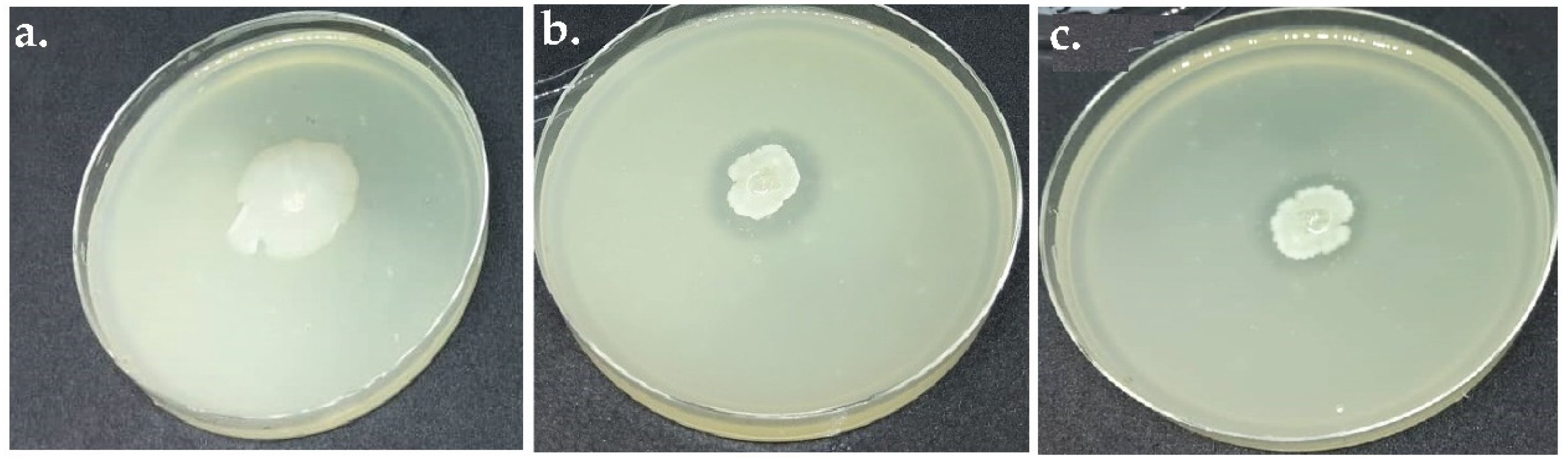 Applsci 12 07136 g001 Applsci 12 07136 g001