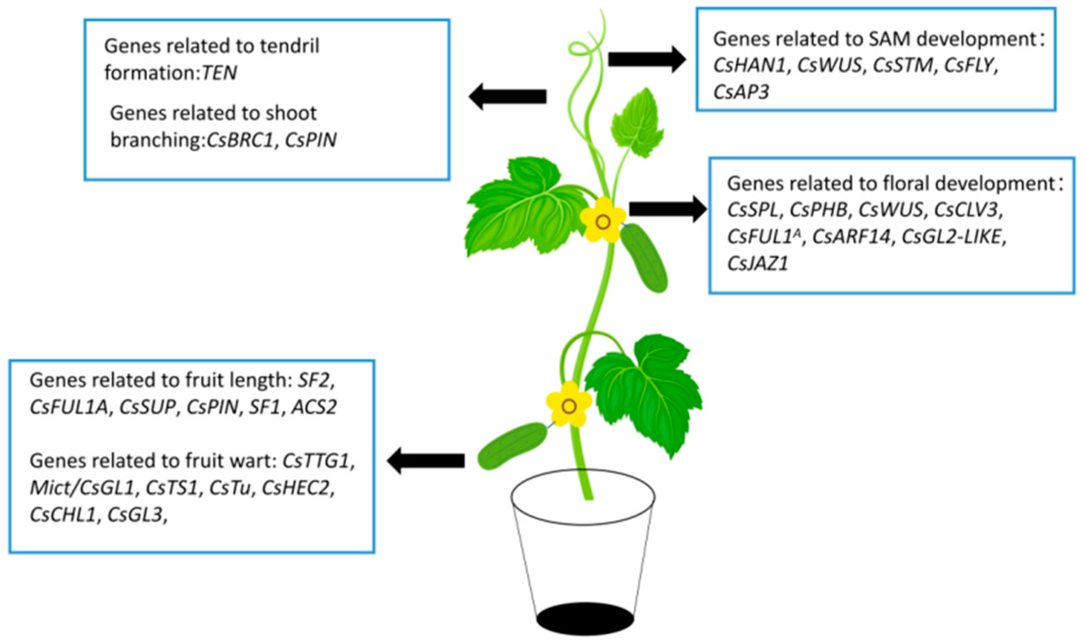 Applsci 12 07180 g003