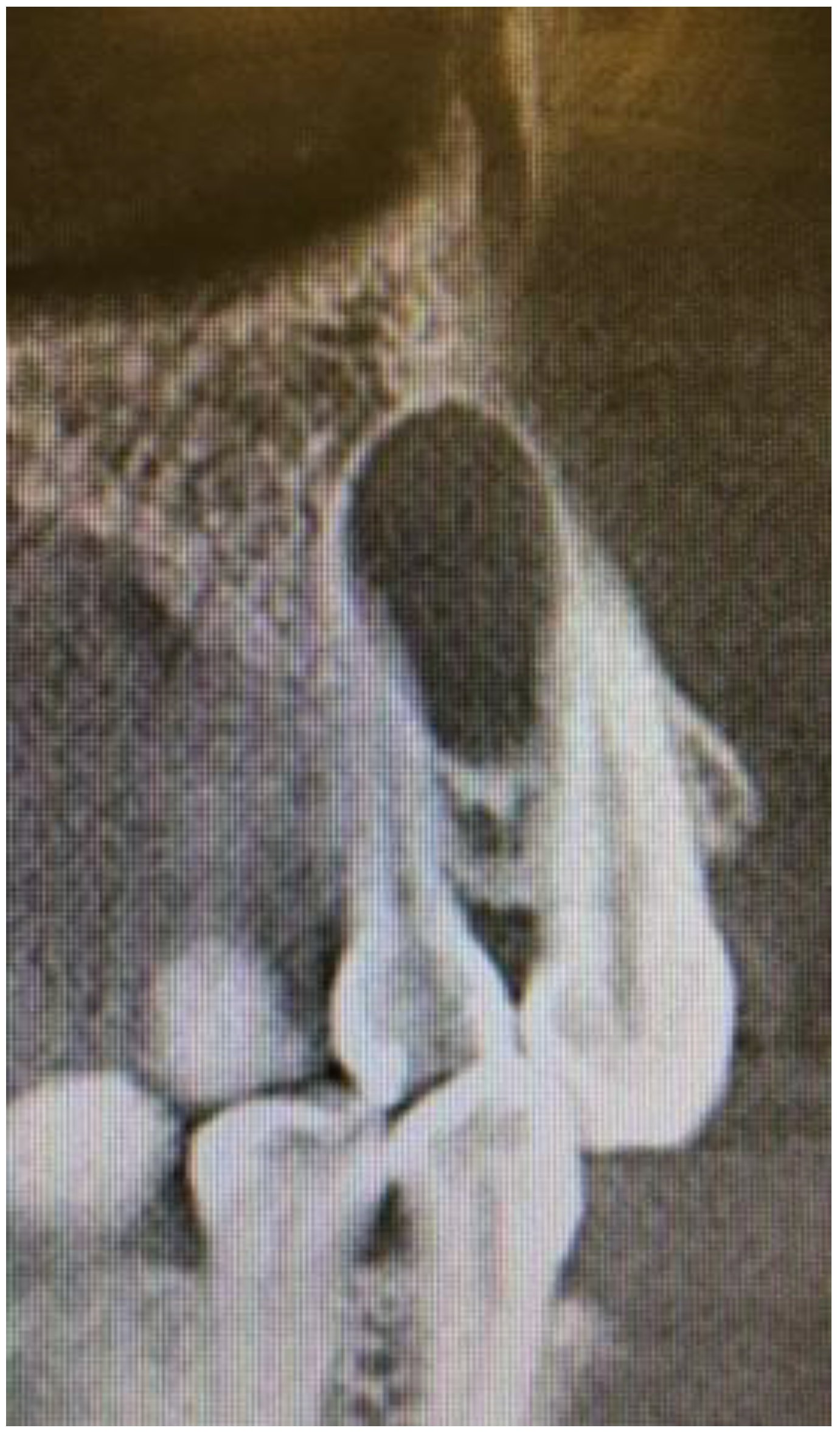 Applsci 12 07200 g003 550