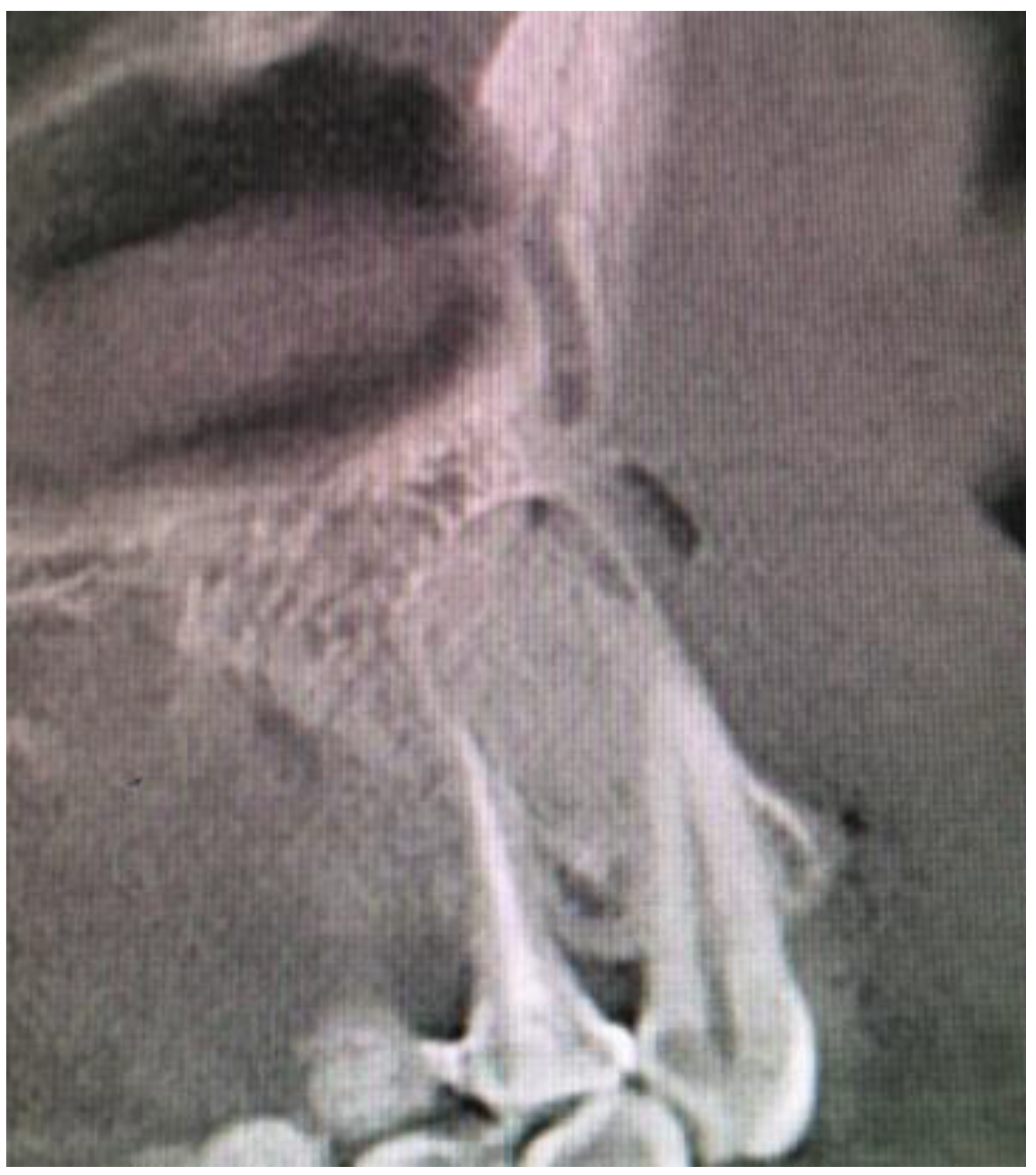 Applsci 12 07200 g006 550