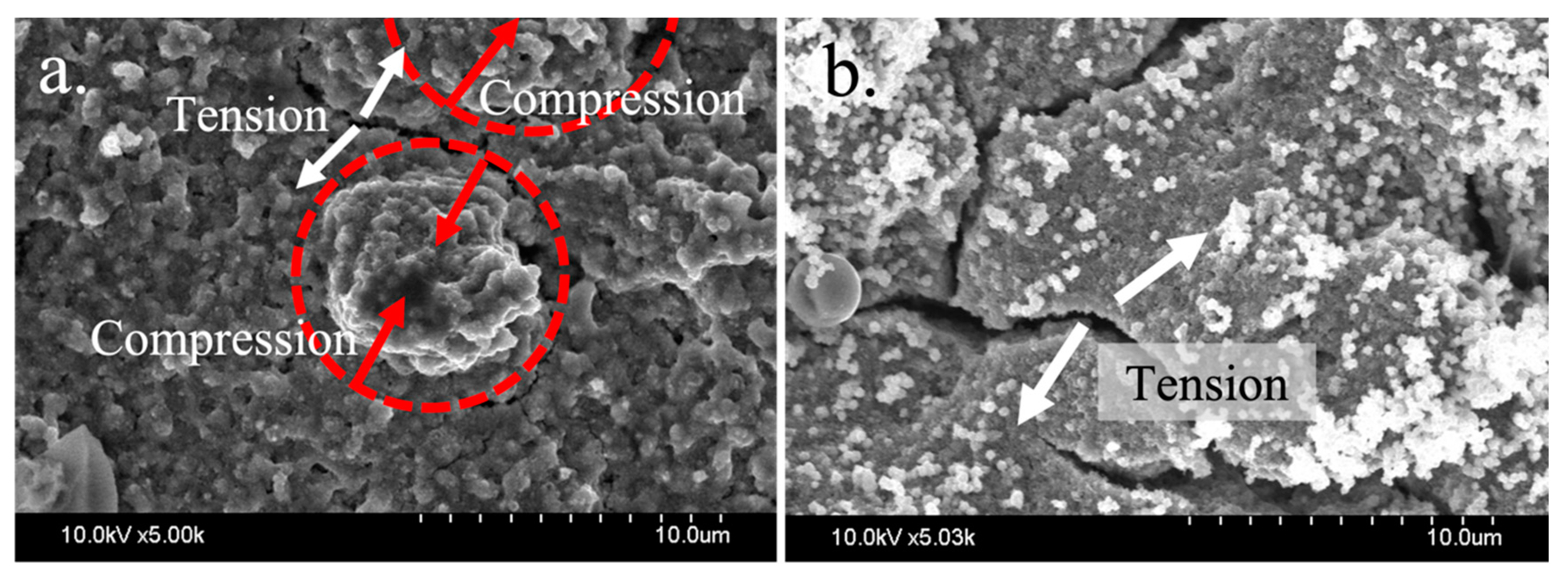 Applsci 12 07206 g020