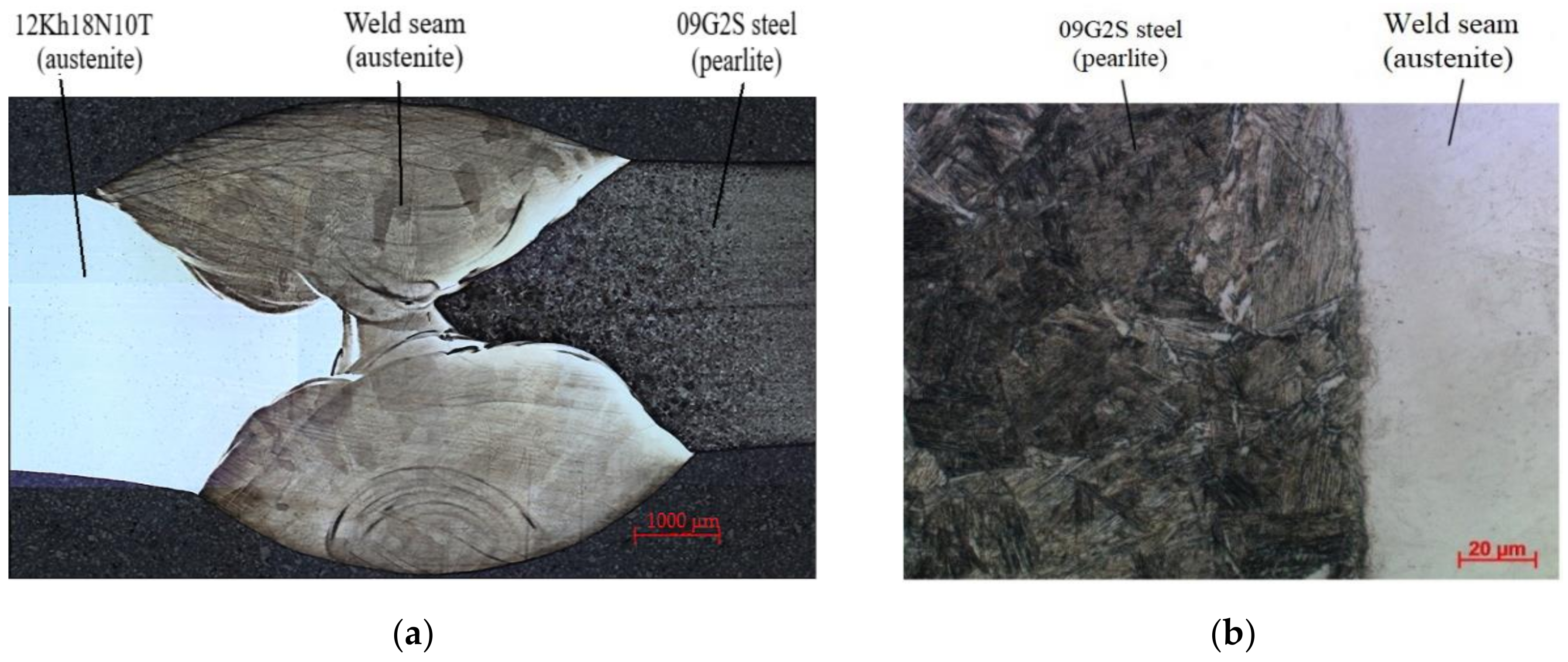 Applsci 12 07213 g001 550