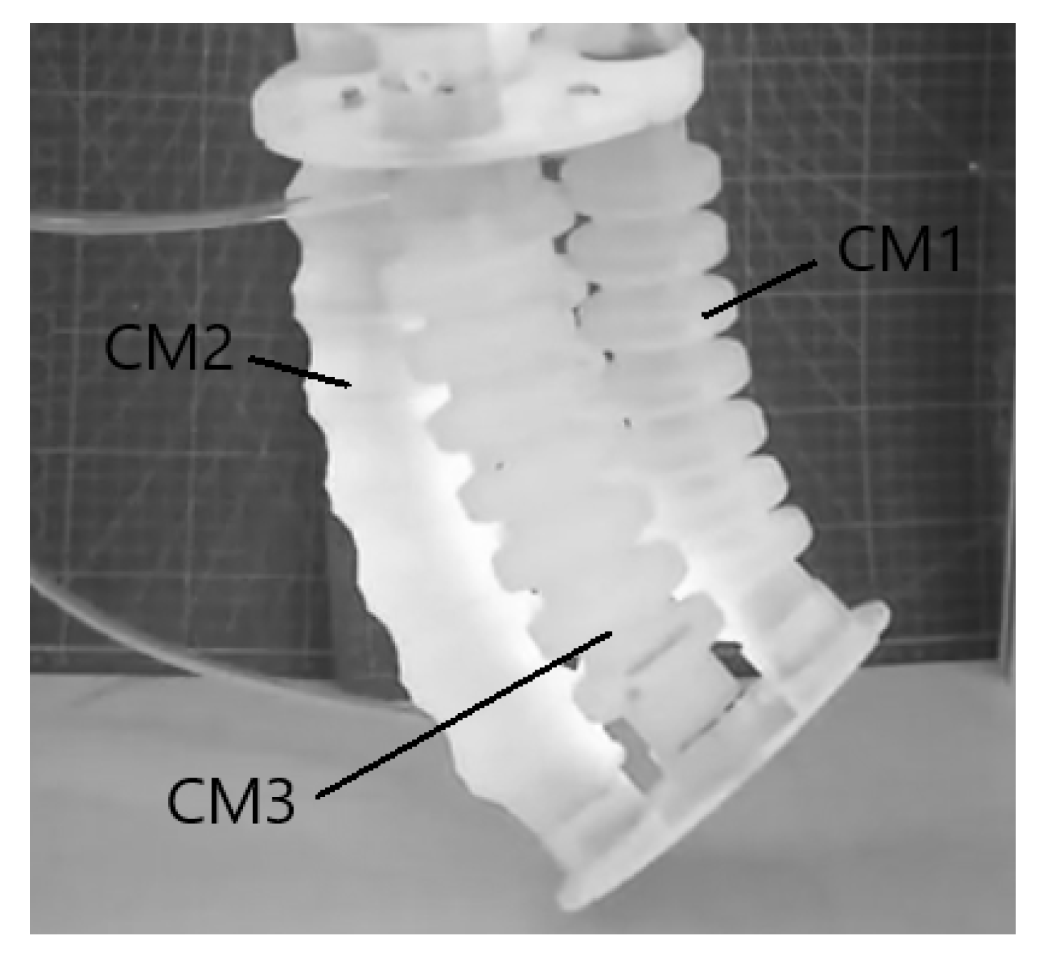 Applsci 12 07224 g006 550