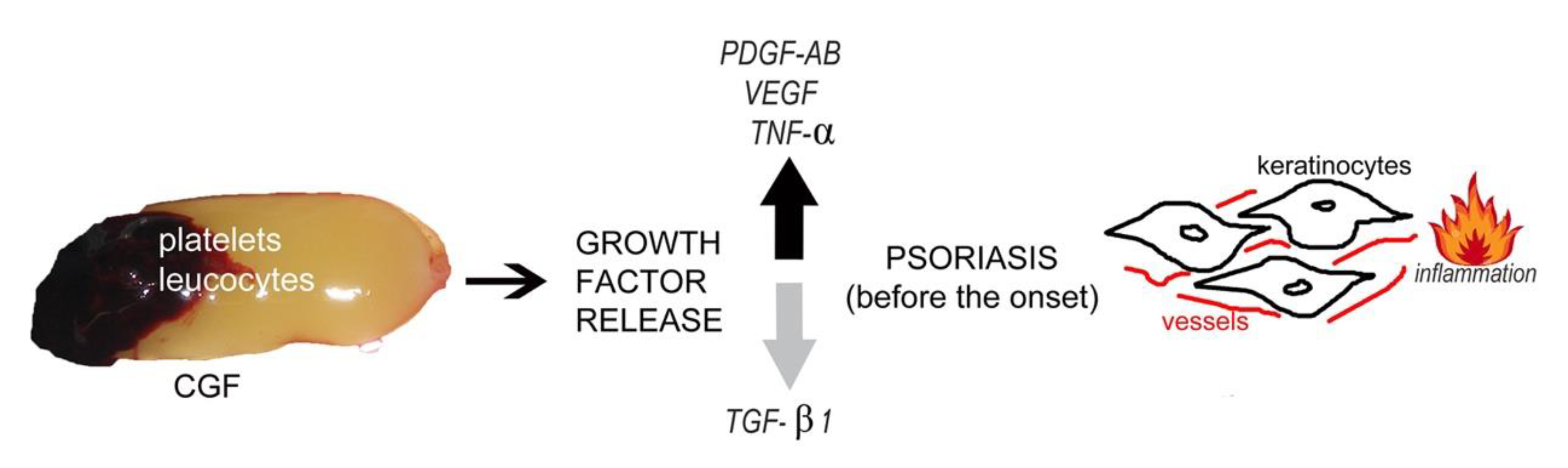 Applsci 12 07250 g002 Applsci 12 07250 g002
