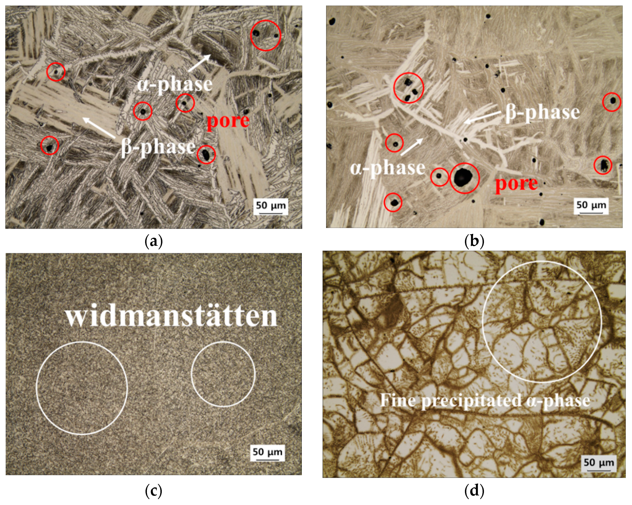 Applsci 12 07257 g002 Applsci 12 07257 g002