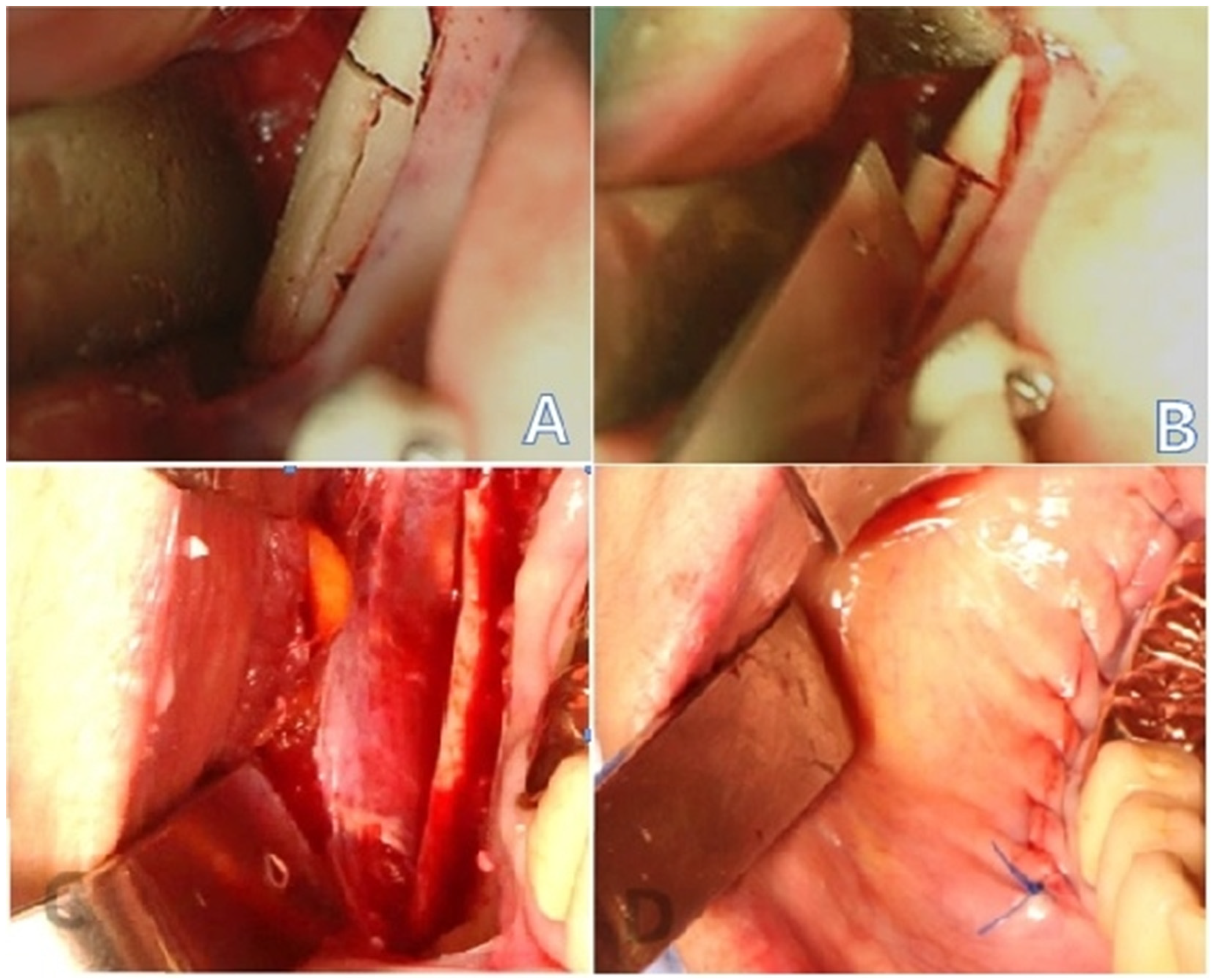 Applsci 12 07261 g001