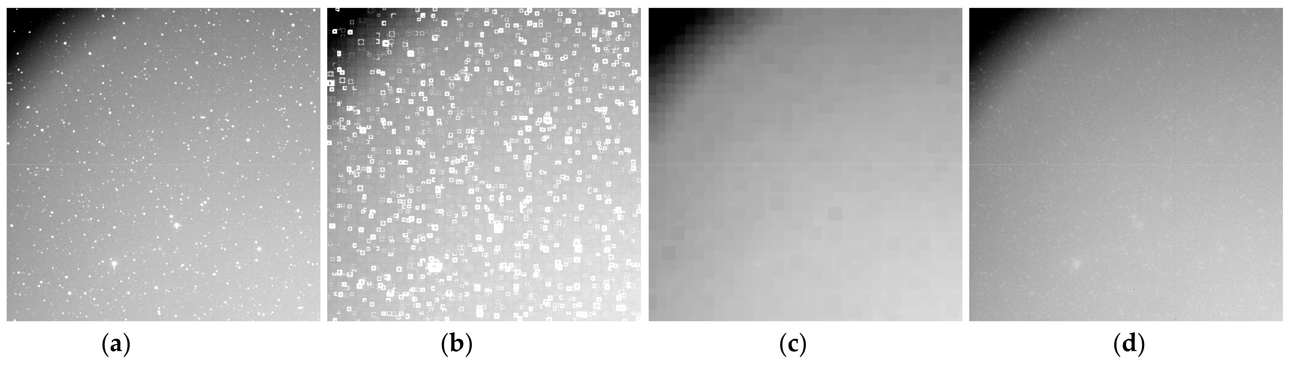 Applsci 12 07299 g006