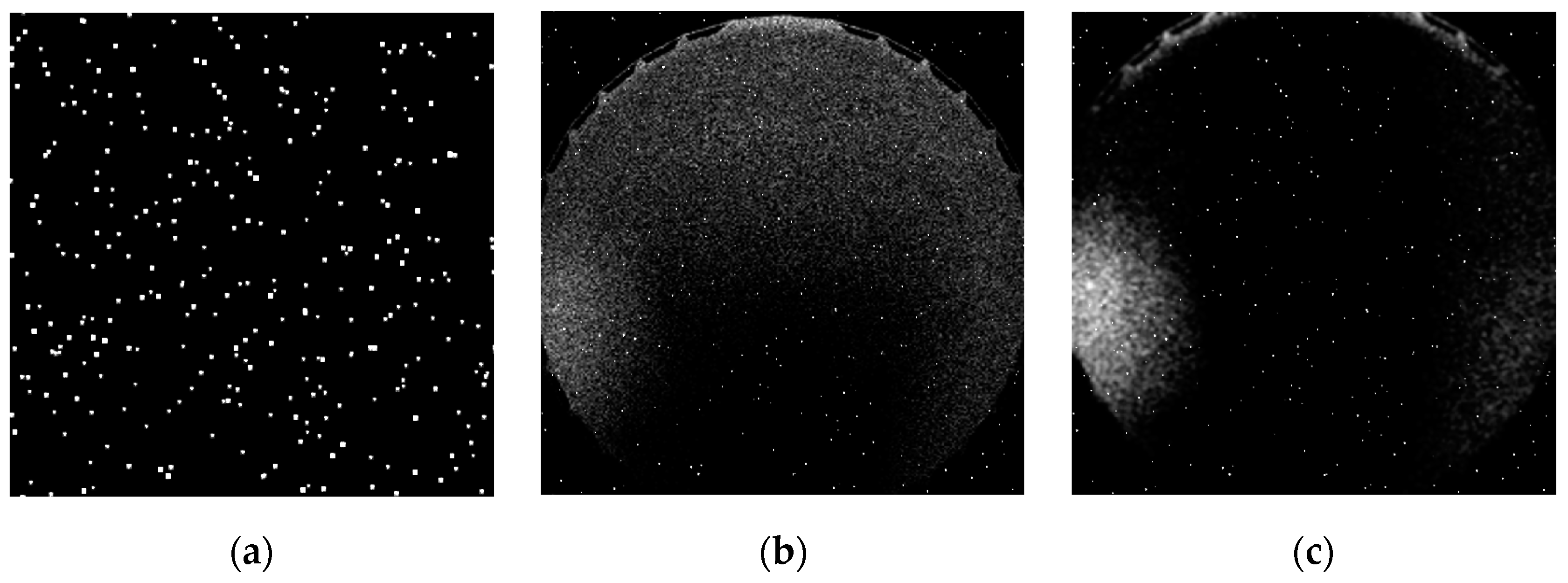 Applsci 12 07299 g008