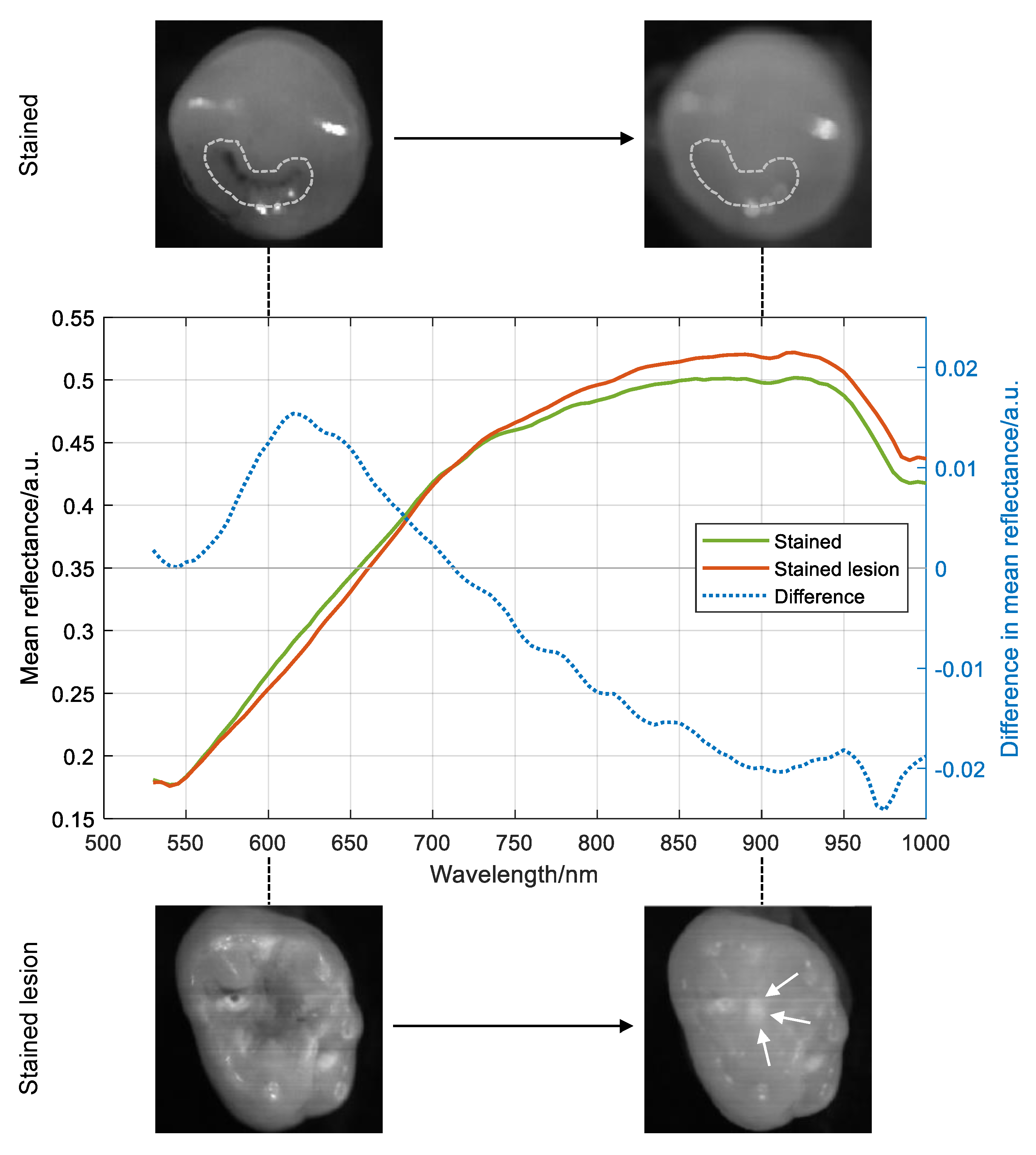 Applsci 12 07312 g003