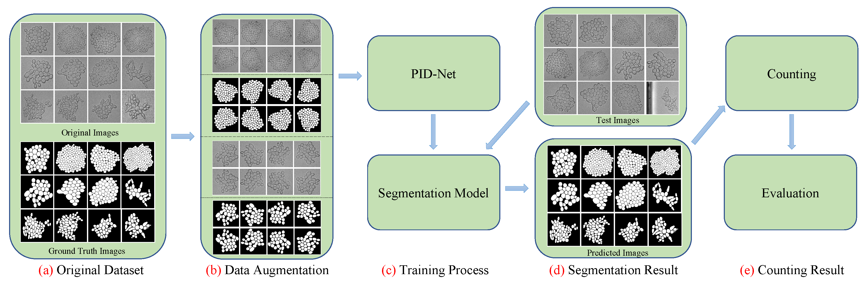 Applsci 12 07314 g001 550