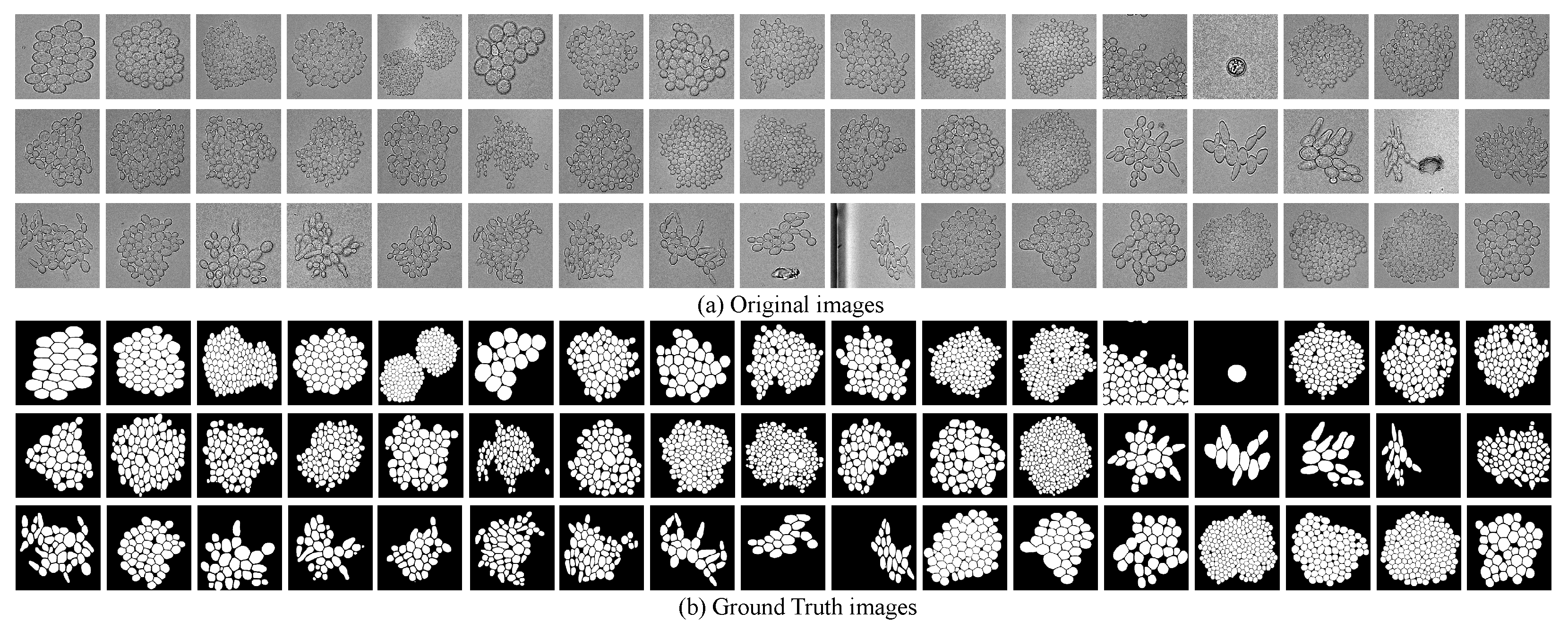 Applsci 12 07314 g004 550