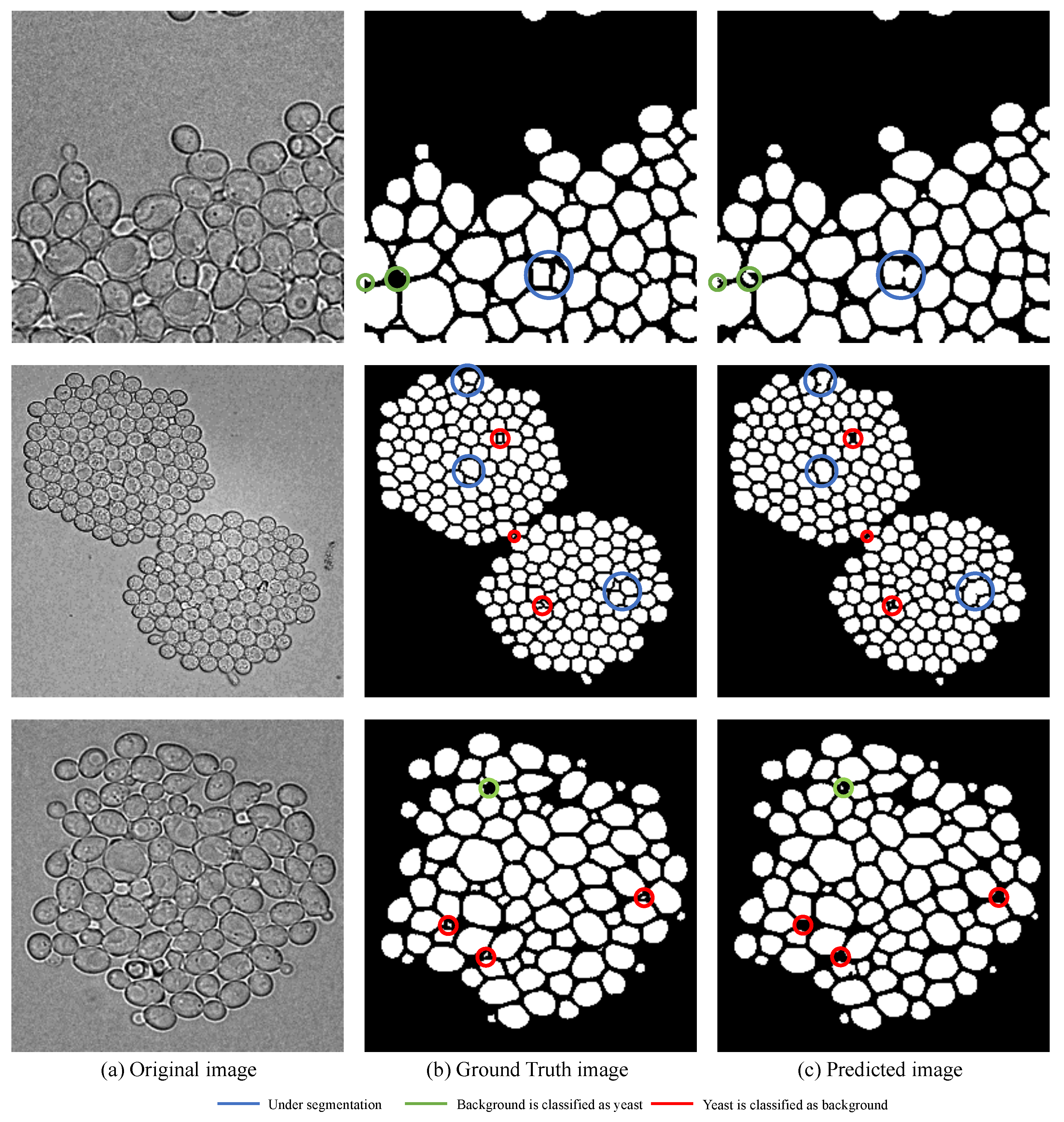 Applsci 12 07314 g010 550