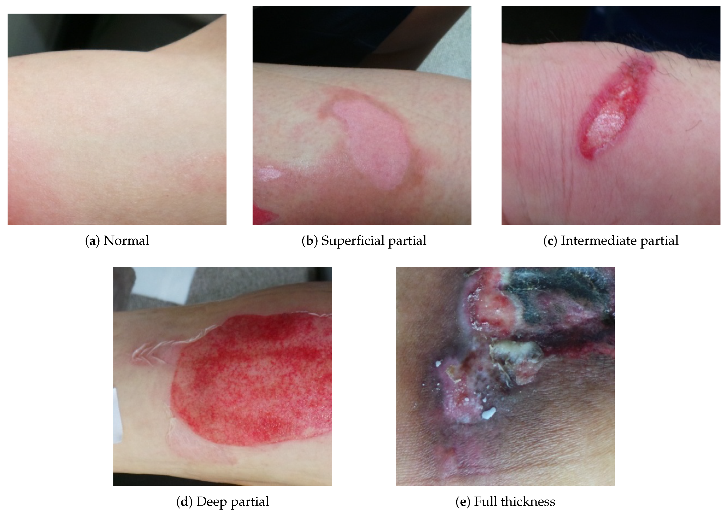 Applsci 12 07317 g001