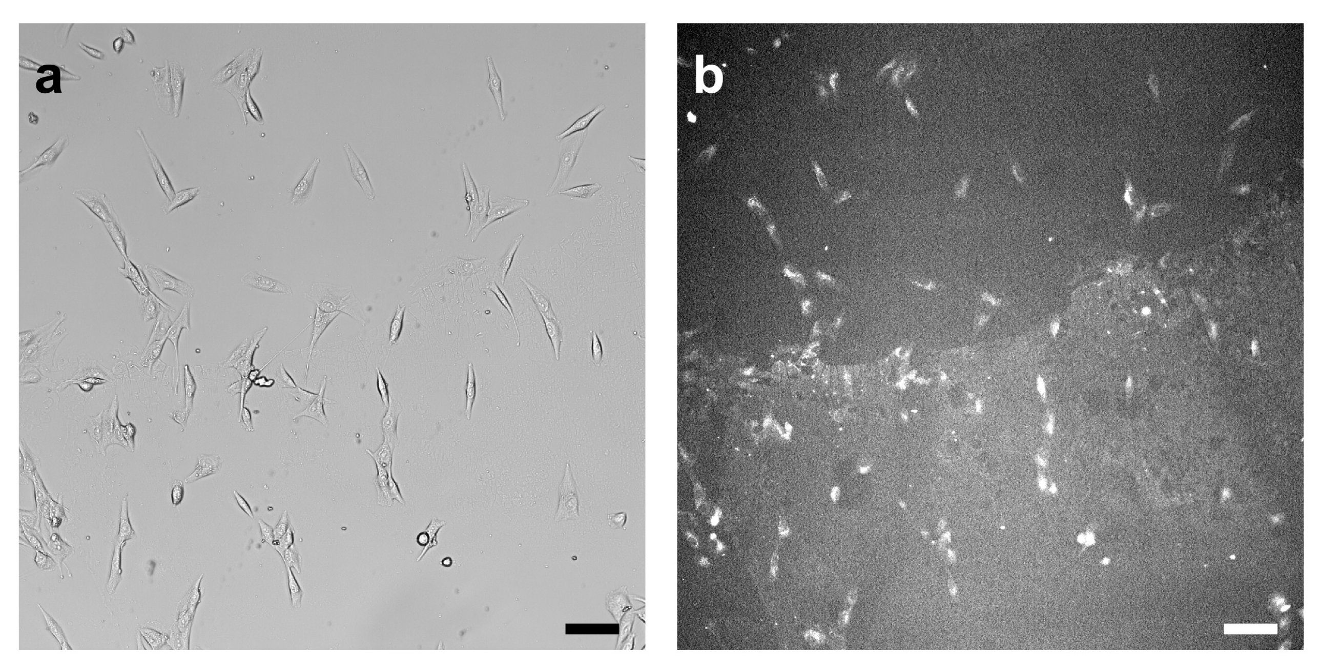 Applsci 12 07329 g005