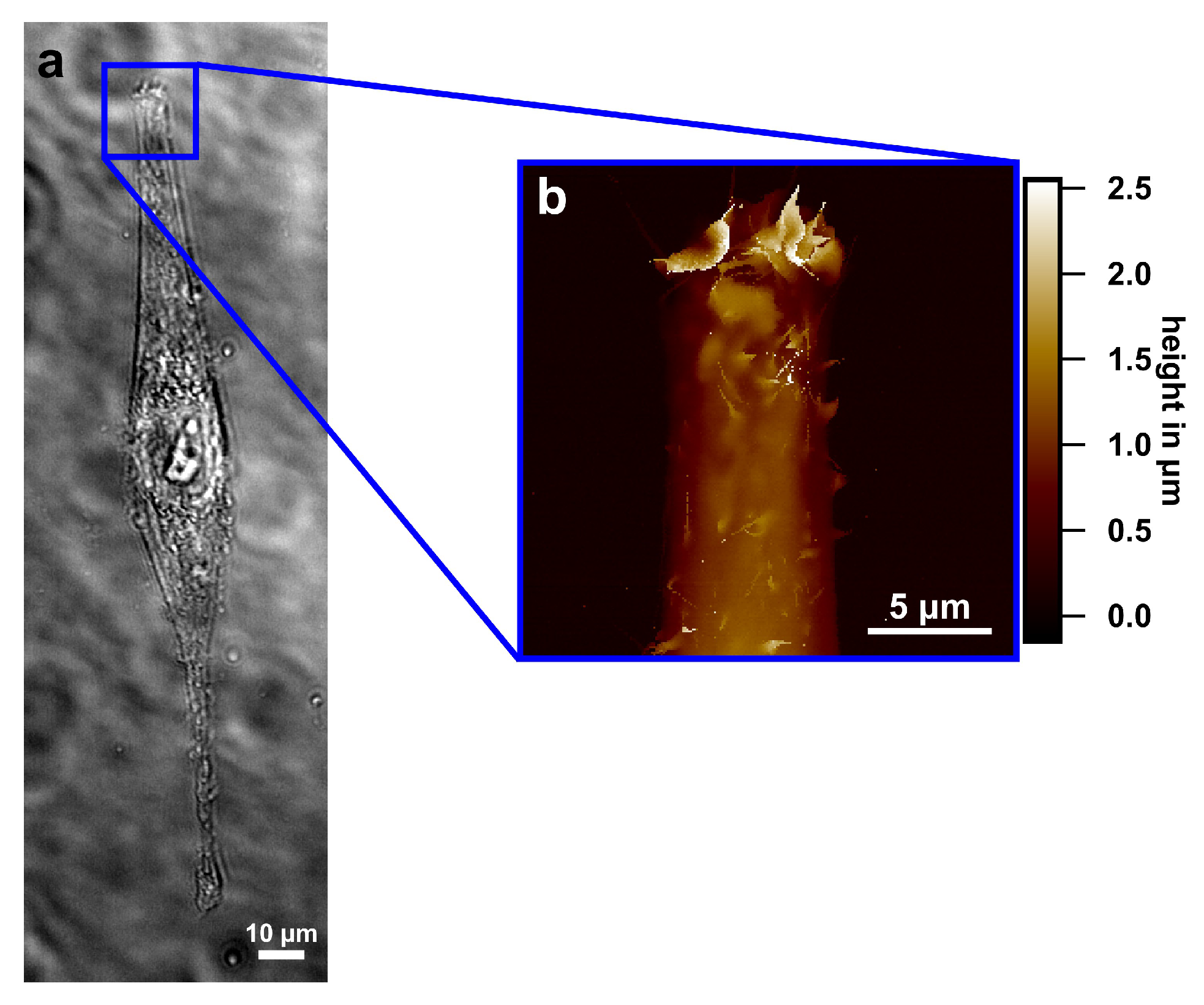 Applsci 12 07329 g007