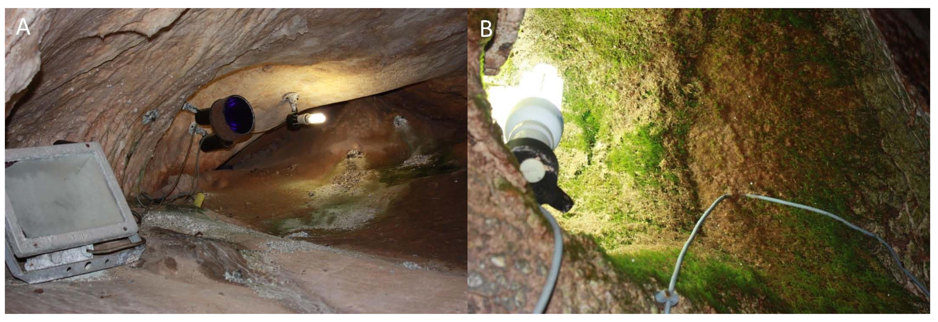 Applsci 12 07357 g004 Applsci 12 07357 g004