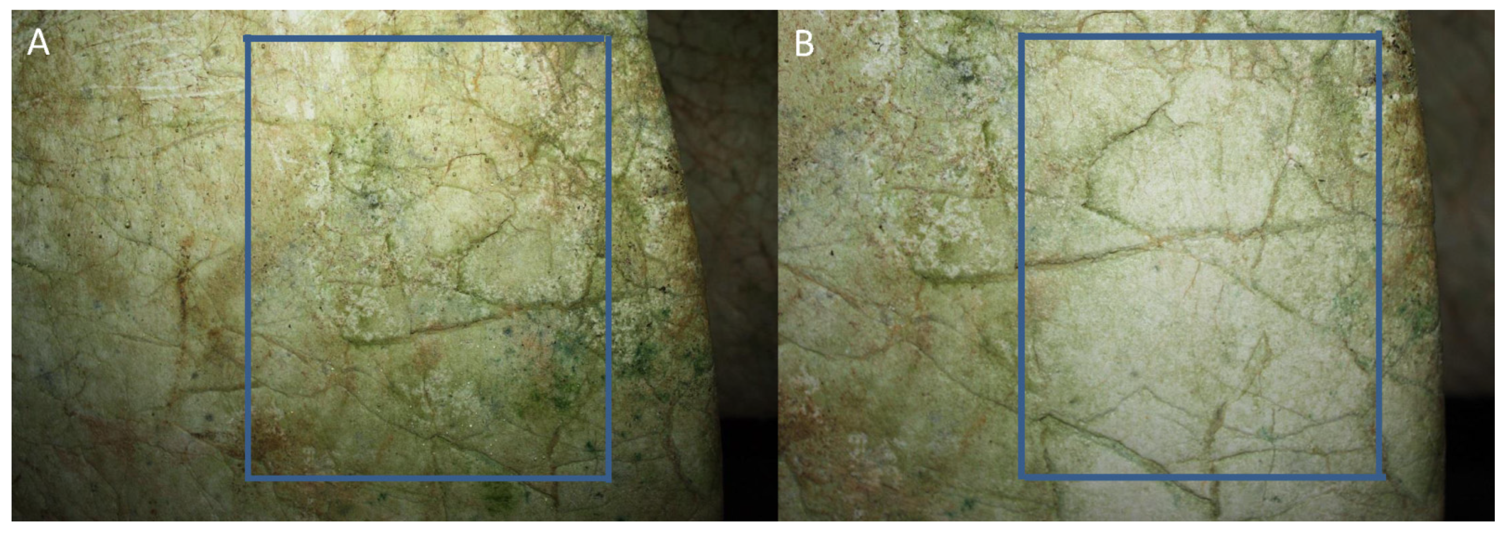 Applsci 12 07357 g007 Applsci 12 07357 g007