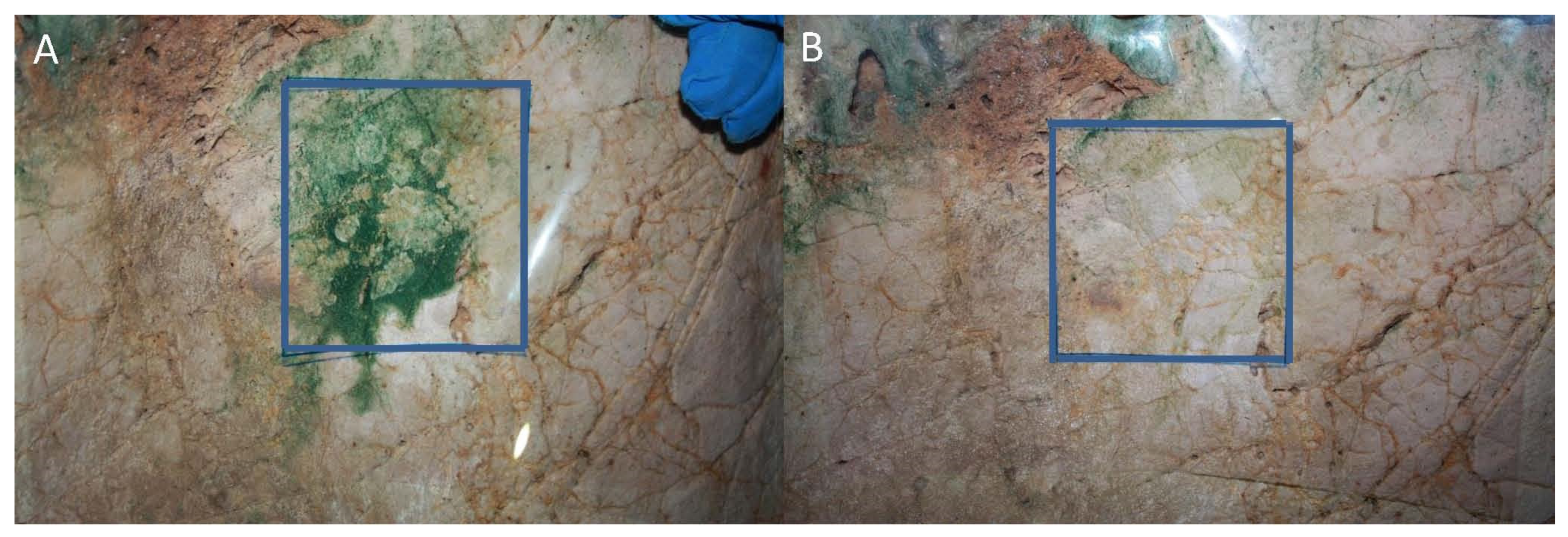 Applsci 12 07357 g009 Applsci 12 07357 g009