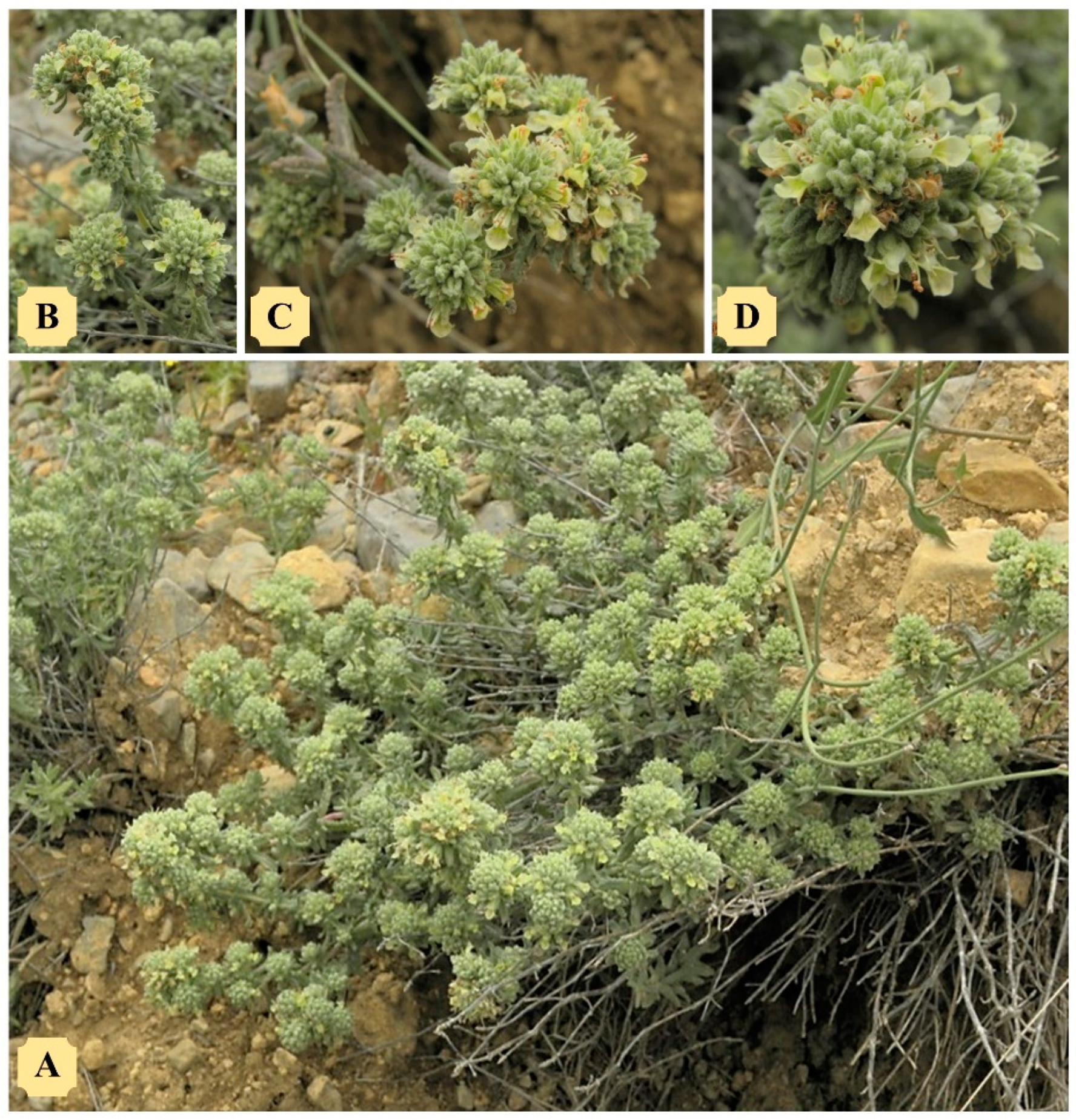 Applsci 12 07370 g001