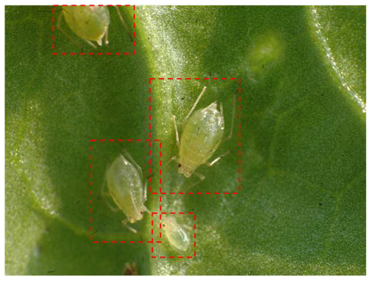 Applsci 12 07378 g006 550