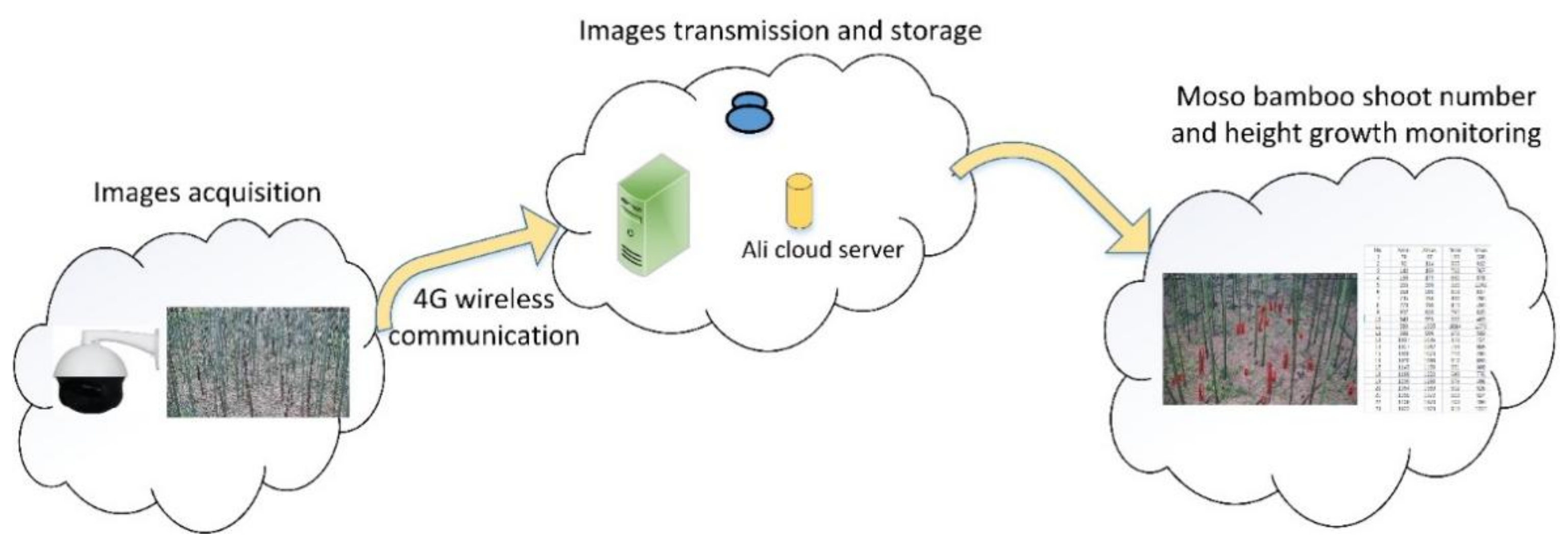 A Deep Learning-Based System for Monitoring the Number and Height ...