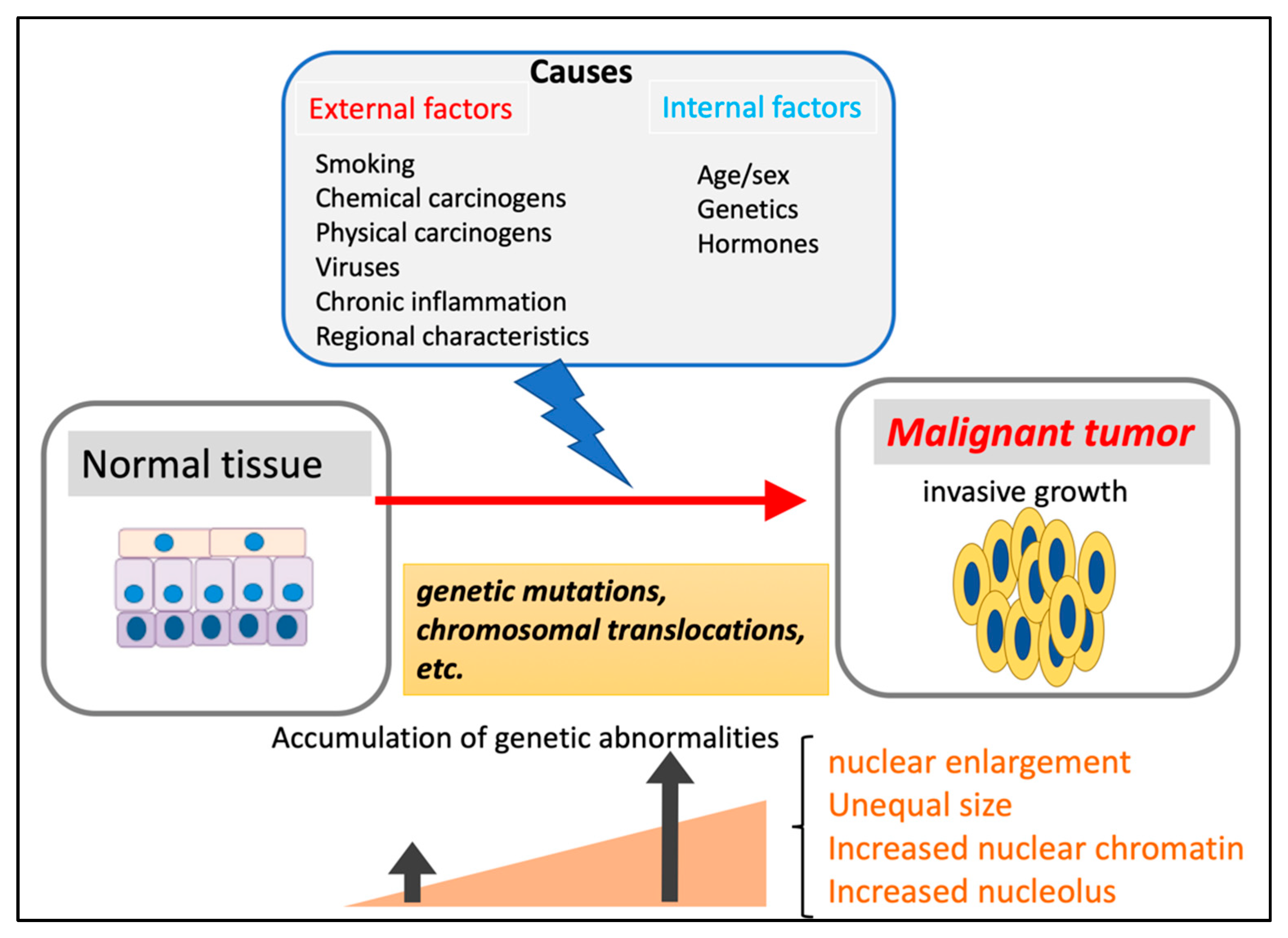 Applsci 12 07390 g002