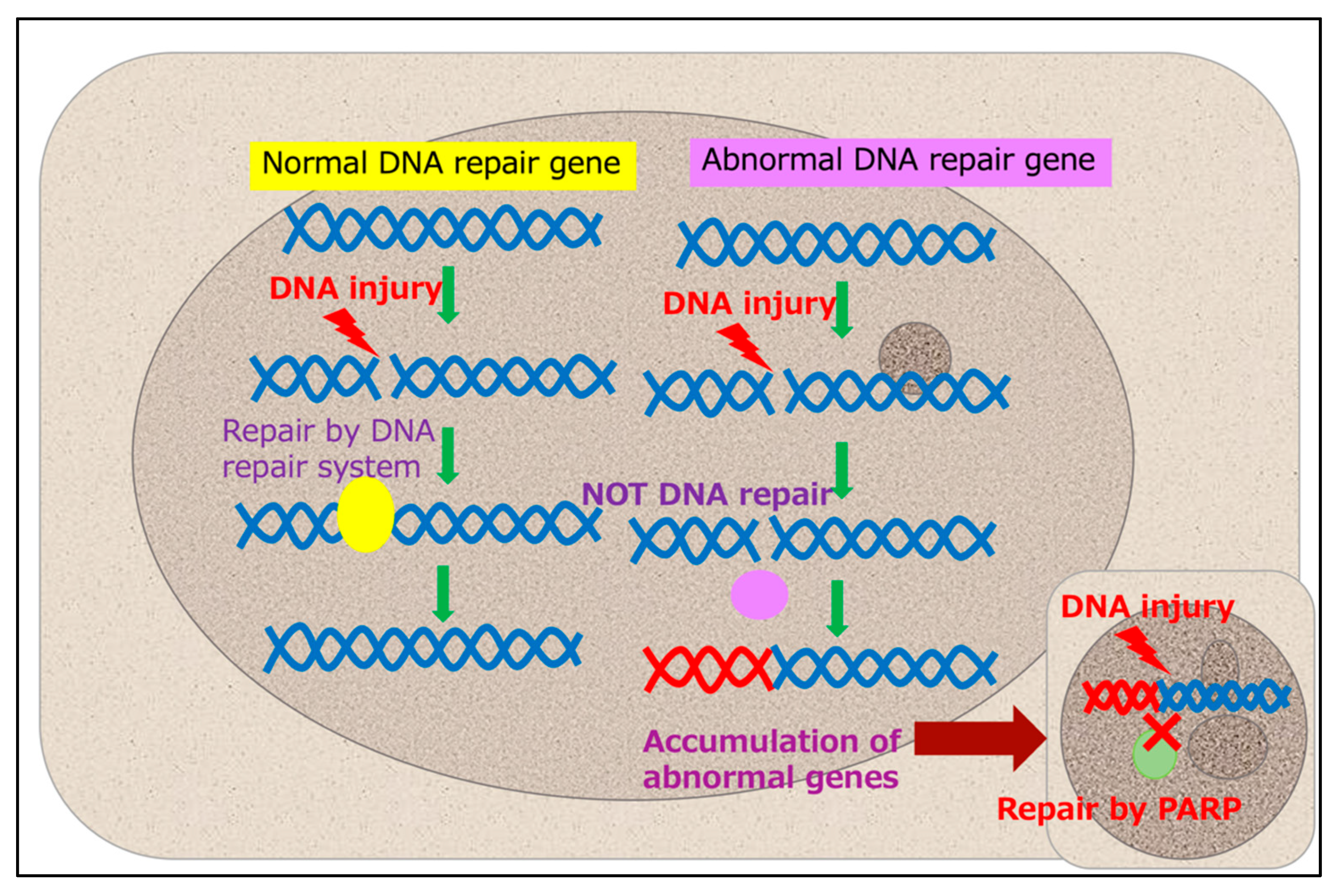 Applsci 12 07390 g003