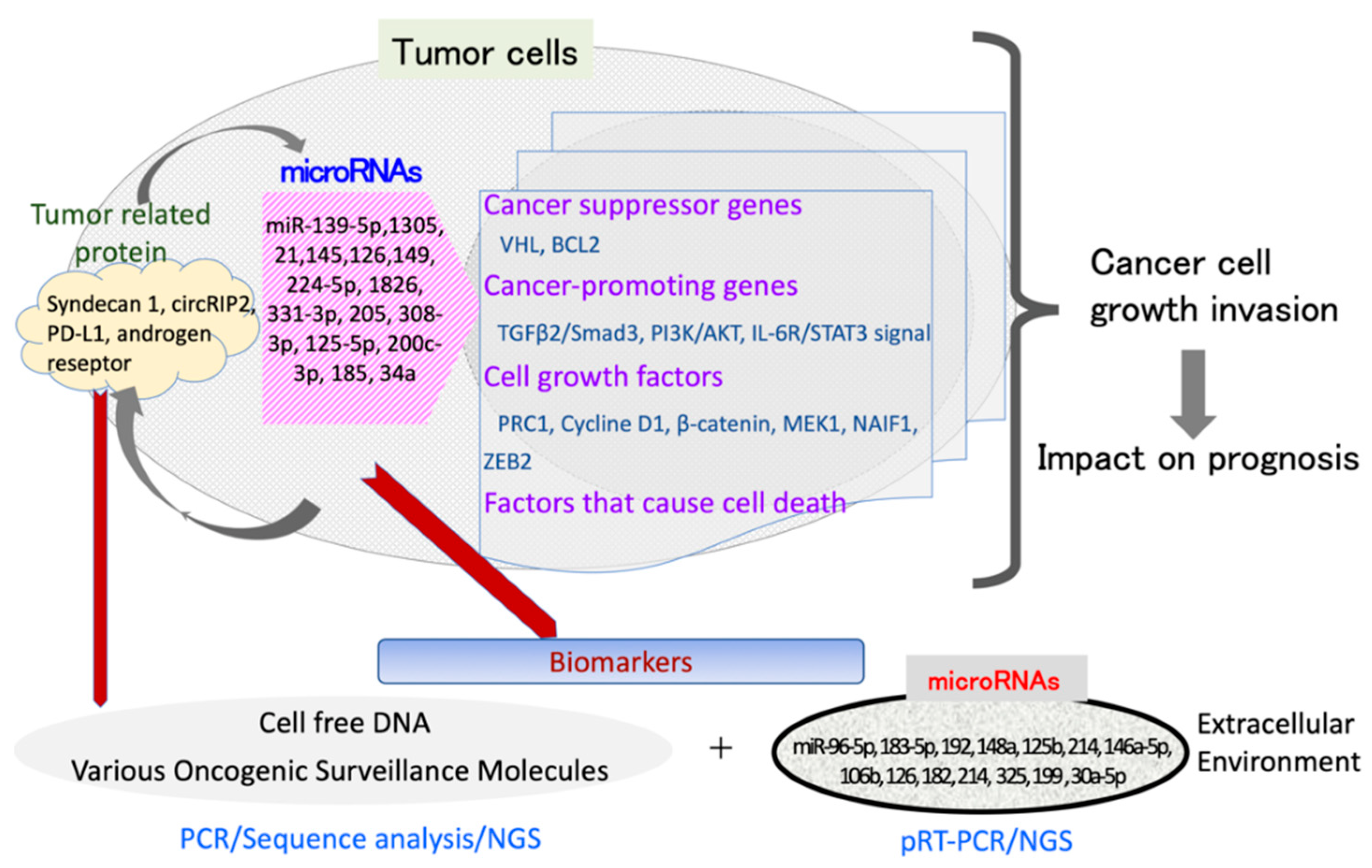 Applsci 12 07390 g004
