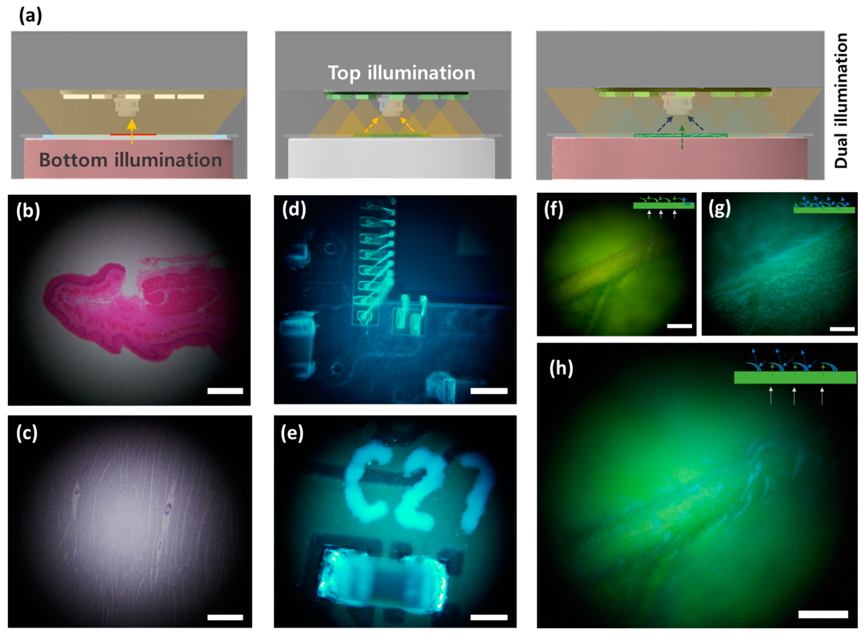 Applsci 12 07399 g004