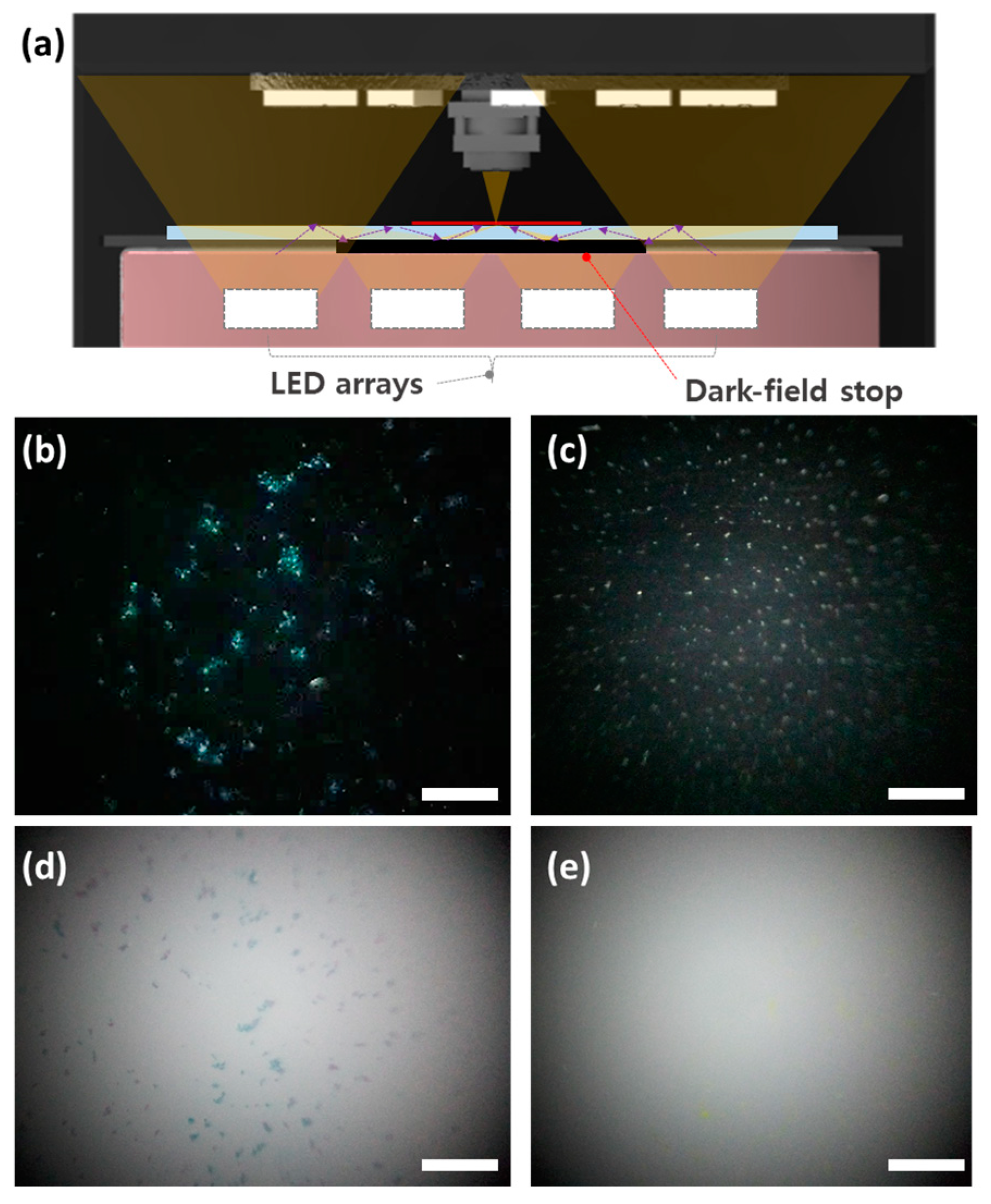 Applsci 12 07399 g005