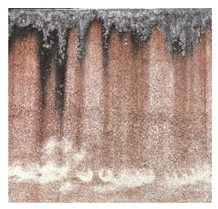 Applsci 12 07403 i014