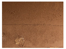 Applsci 12 07403 i018