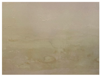 Applsci 12 07403 i026