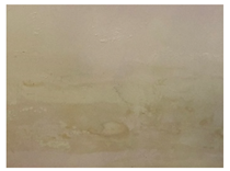 Applsci 12 07403 i027