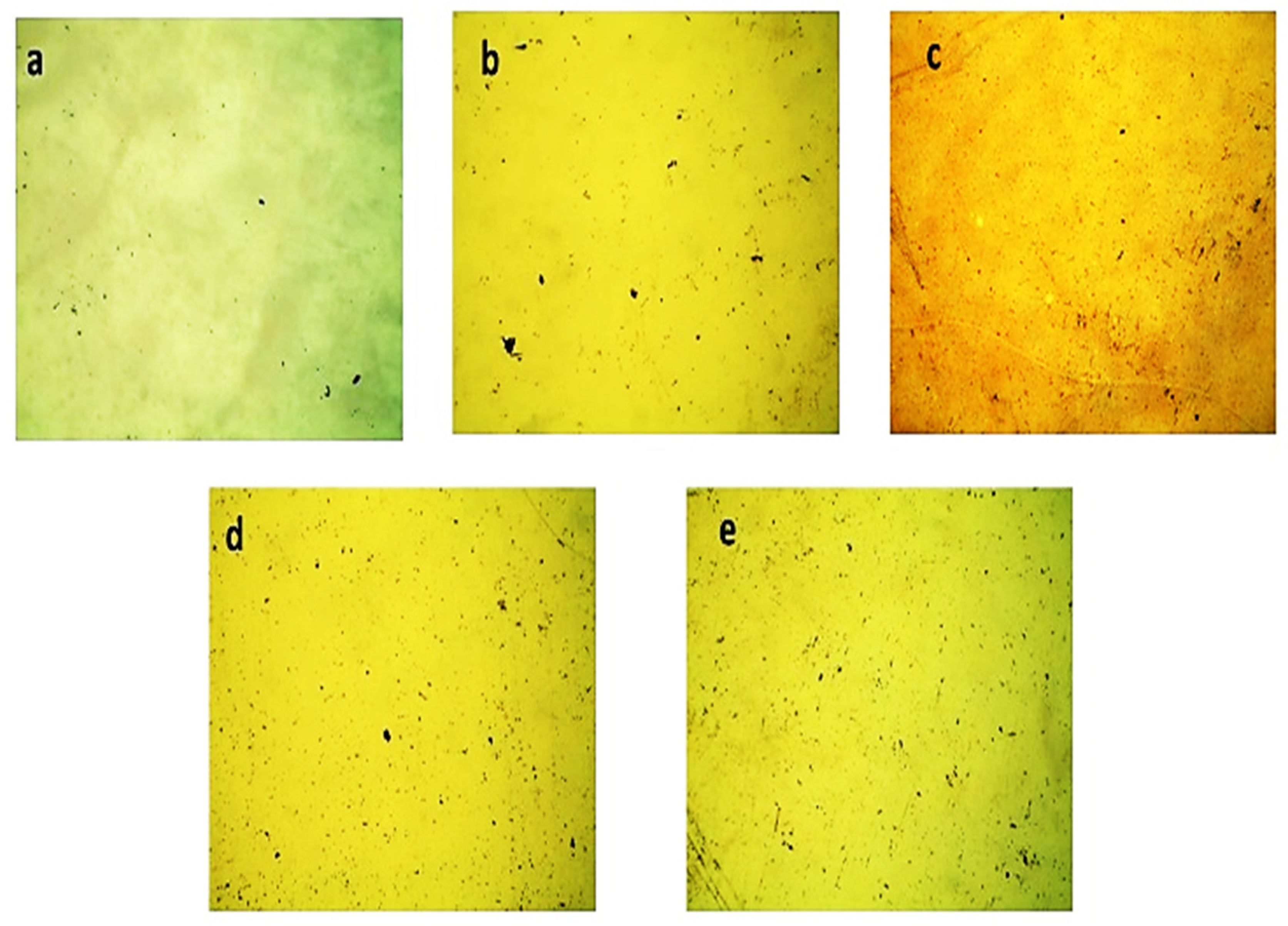 Applsci 12 07412 g005