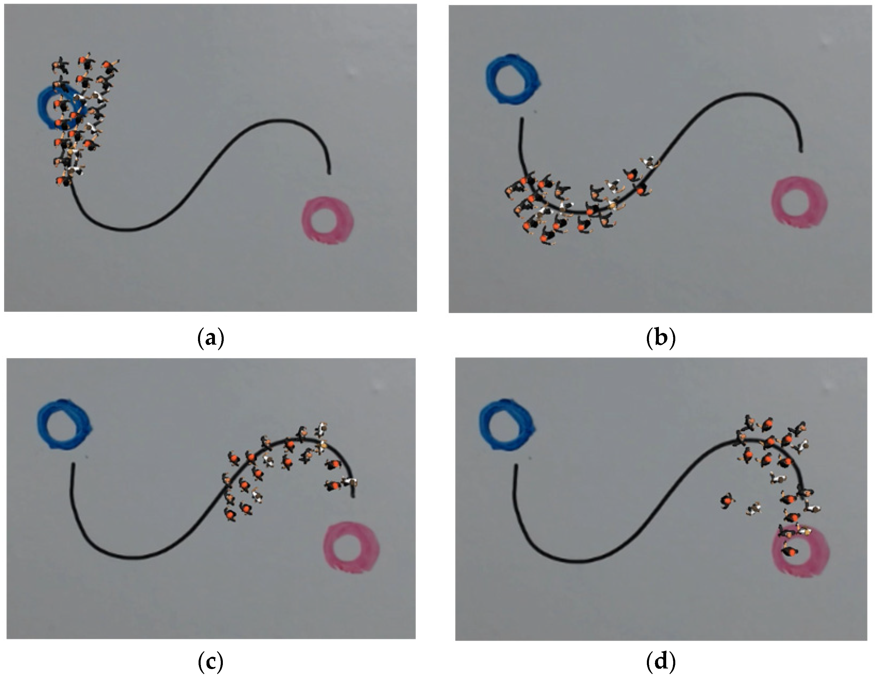 Applsci 12 07416 g011 550