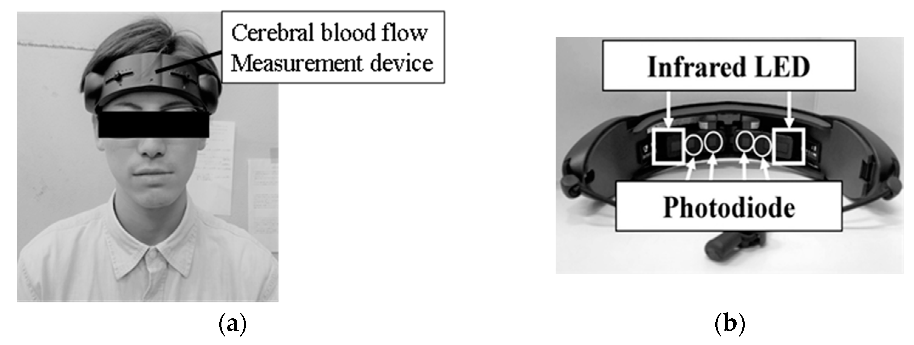 Applsci 12 07425 g003 Applsci 12 07425 g003