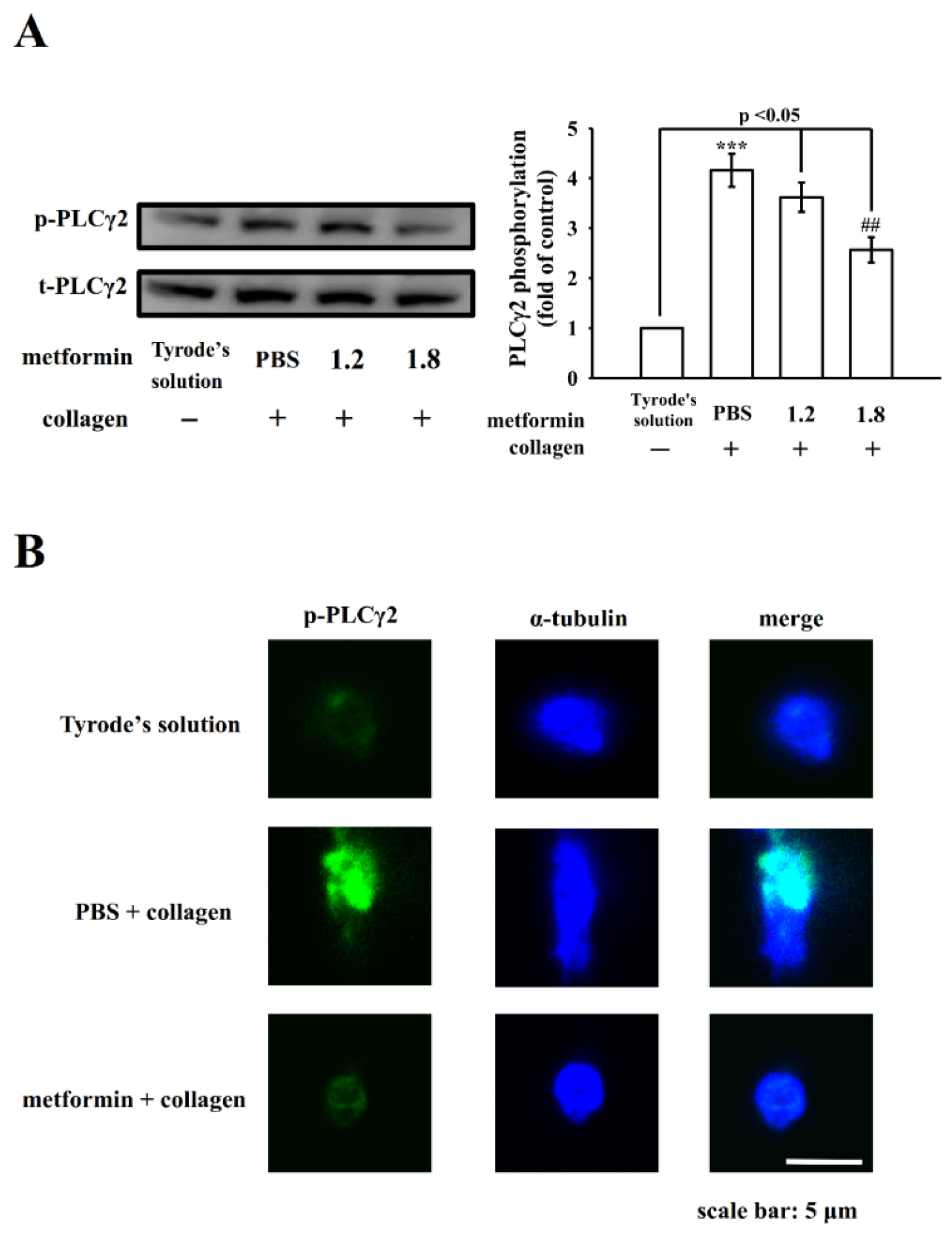 Applsci 12 07426 g003 Applsci 12 07426 g003