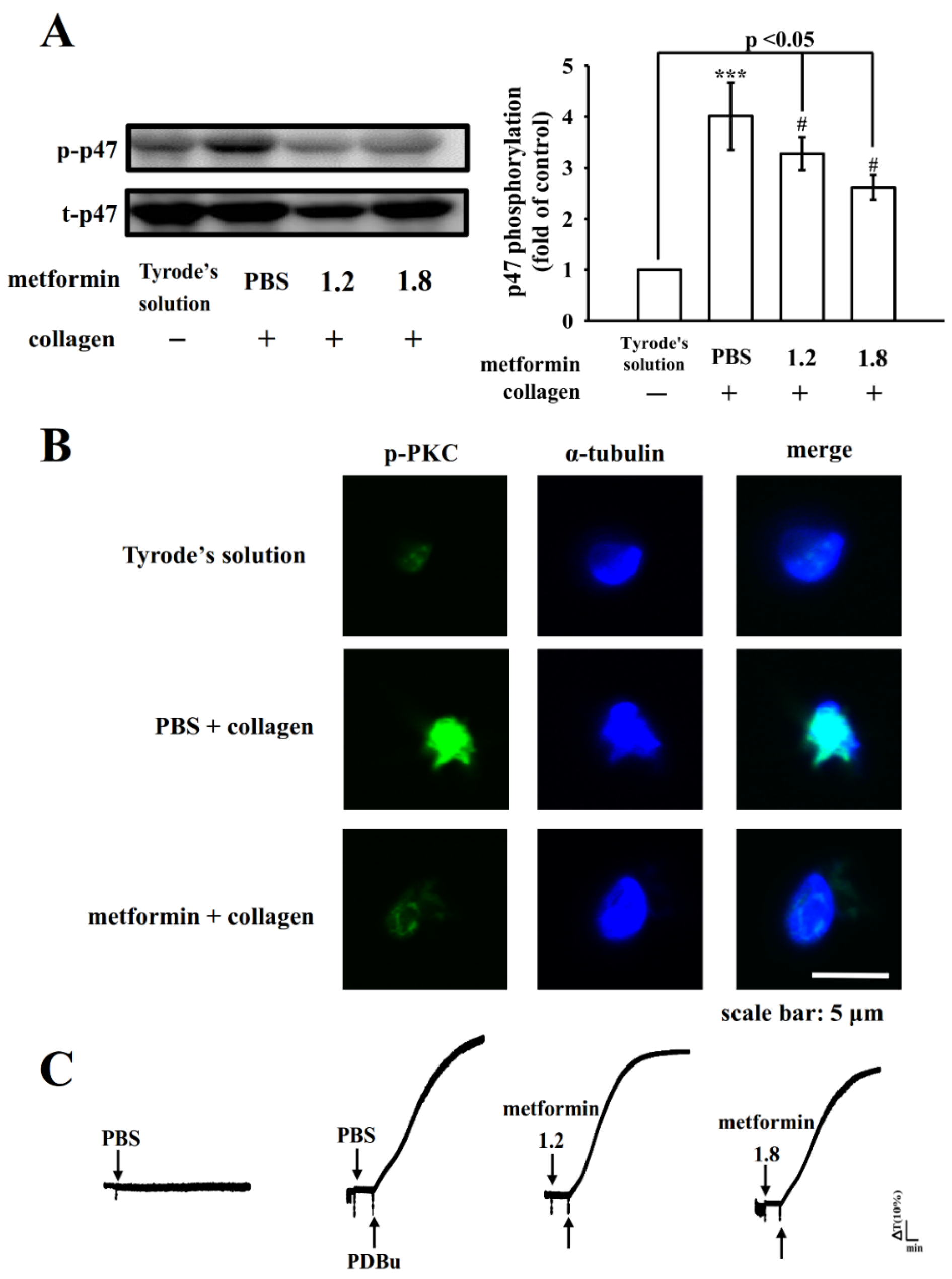 Applsci 12 07426 g004 Applsci 12 07426 g004